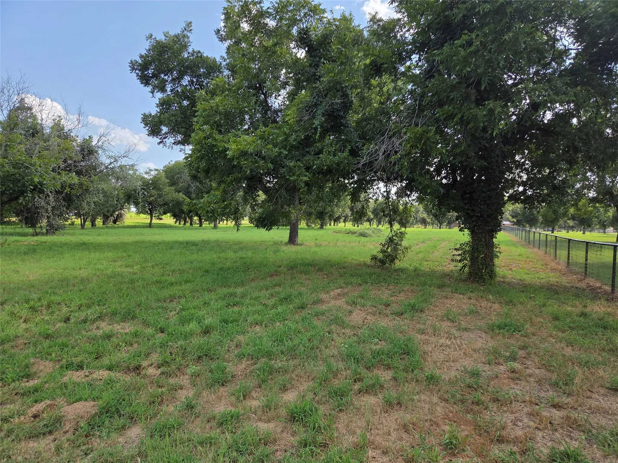 Expansive green space featuring mature trees and a perimeter fence