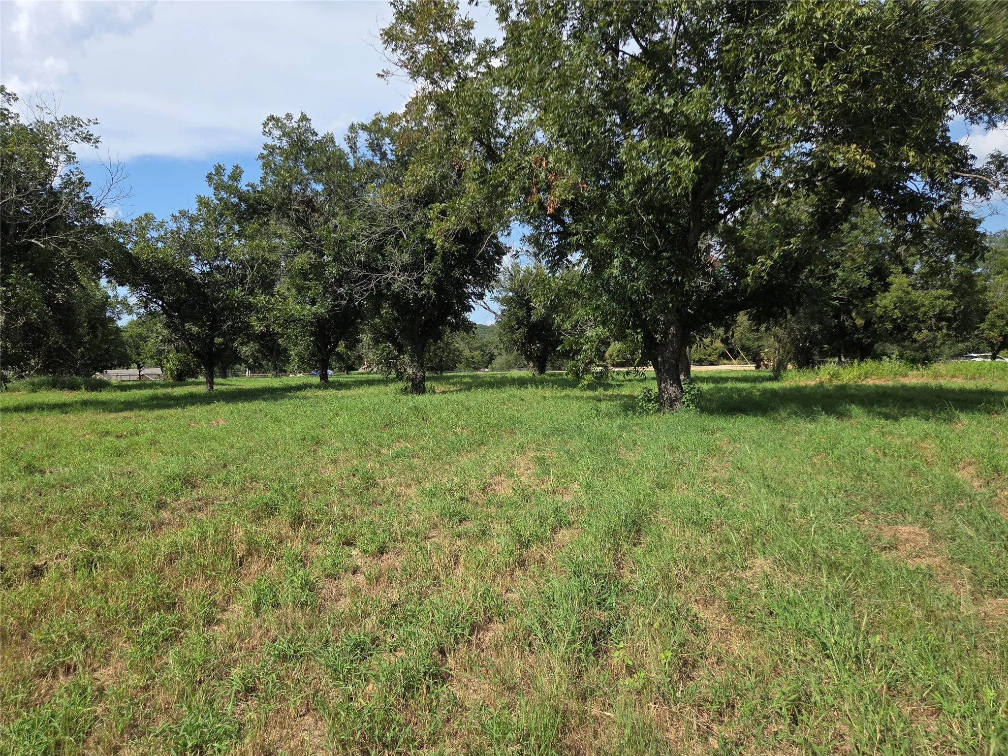 Expansive property featuring mature trees and a substantial grassy area