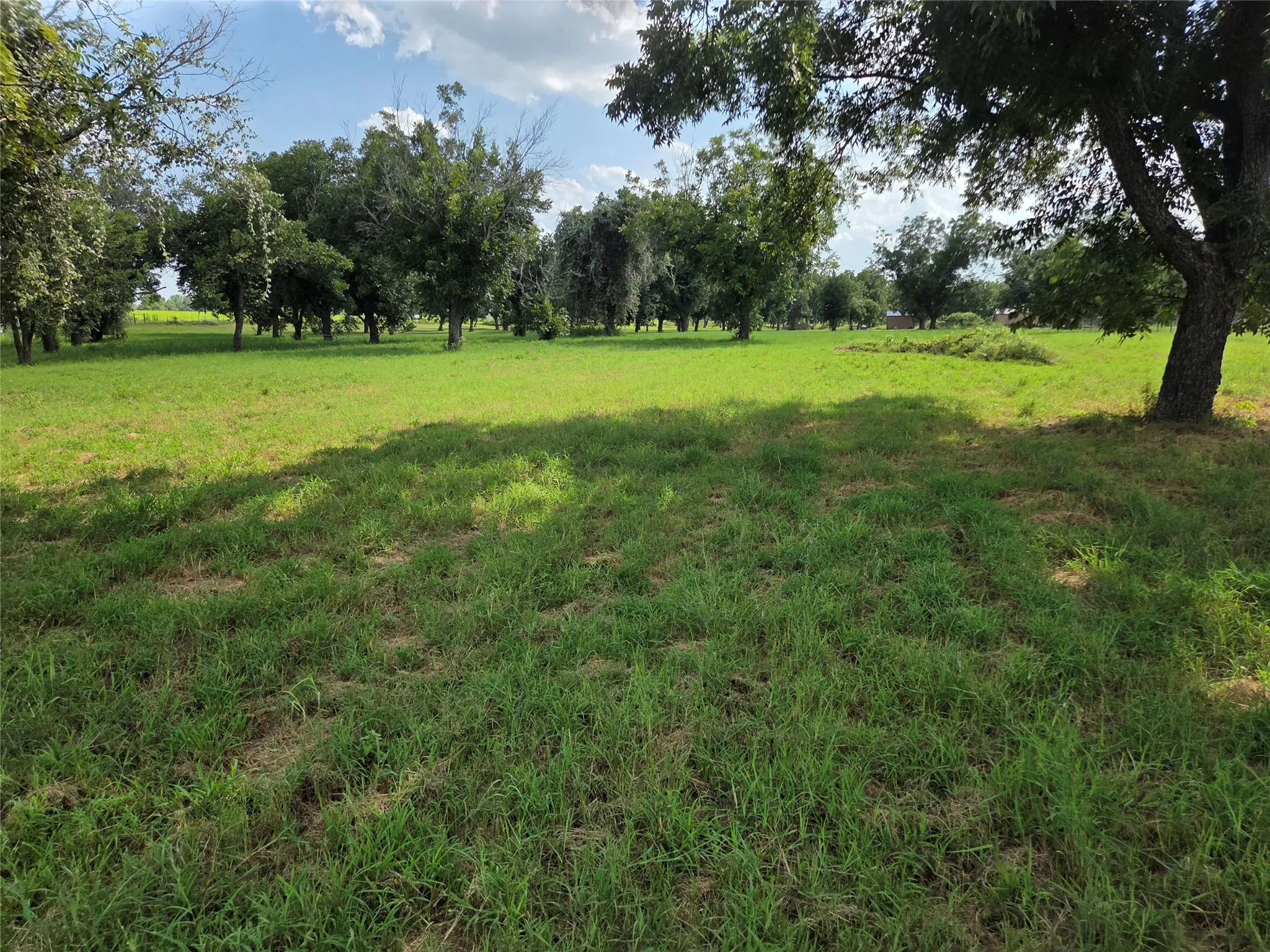 Expansive green lawn with scattered mature trees
