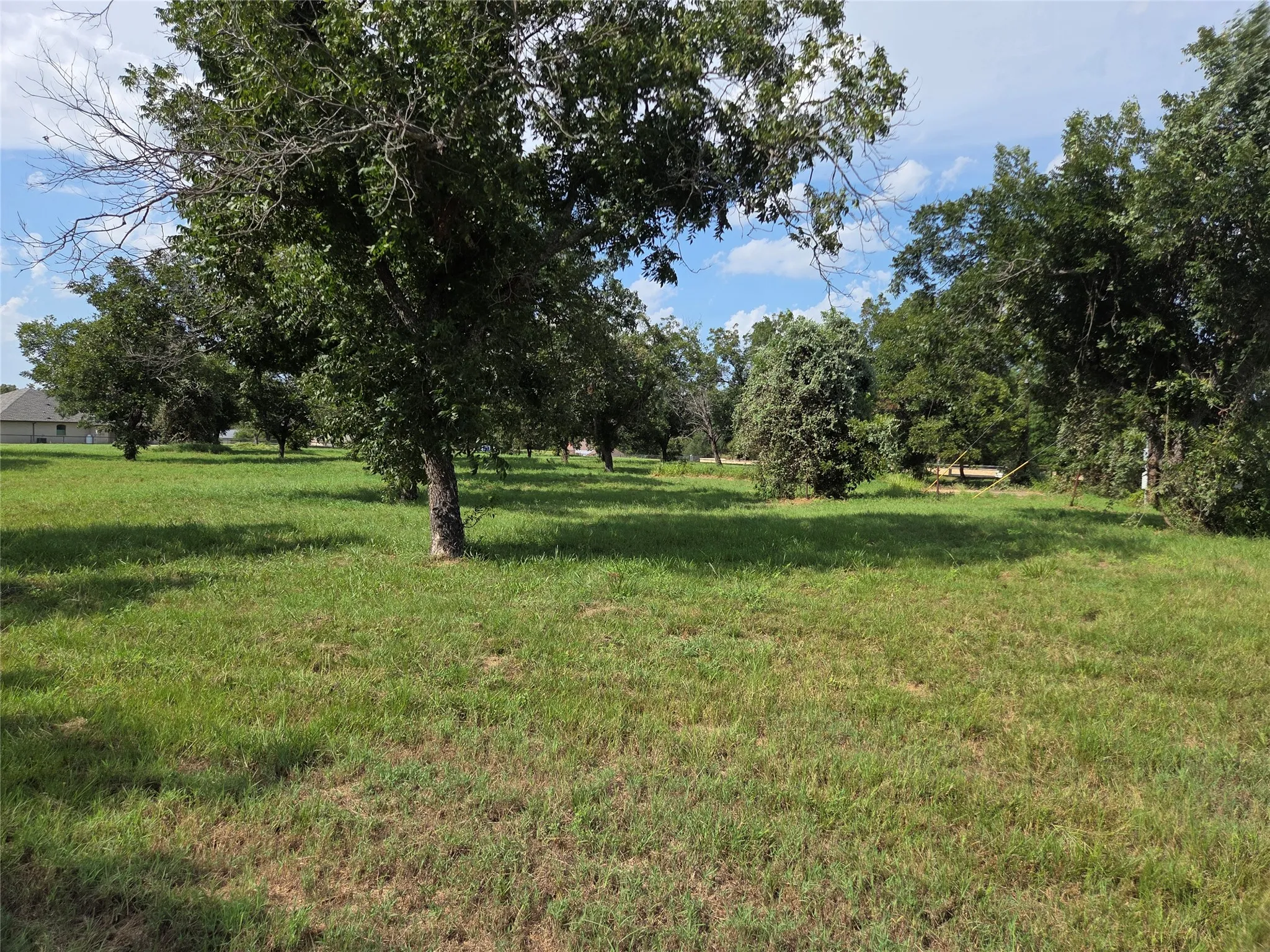 Expansive grassy lot featuring mature trees