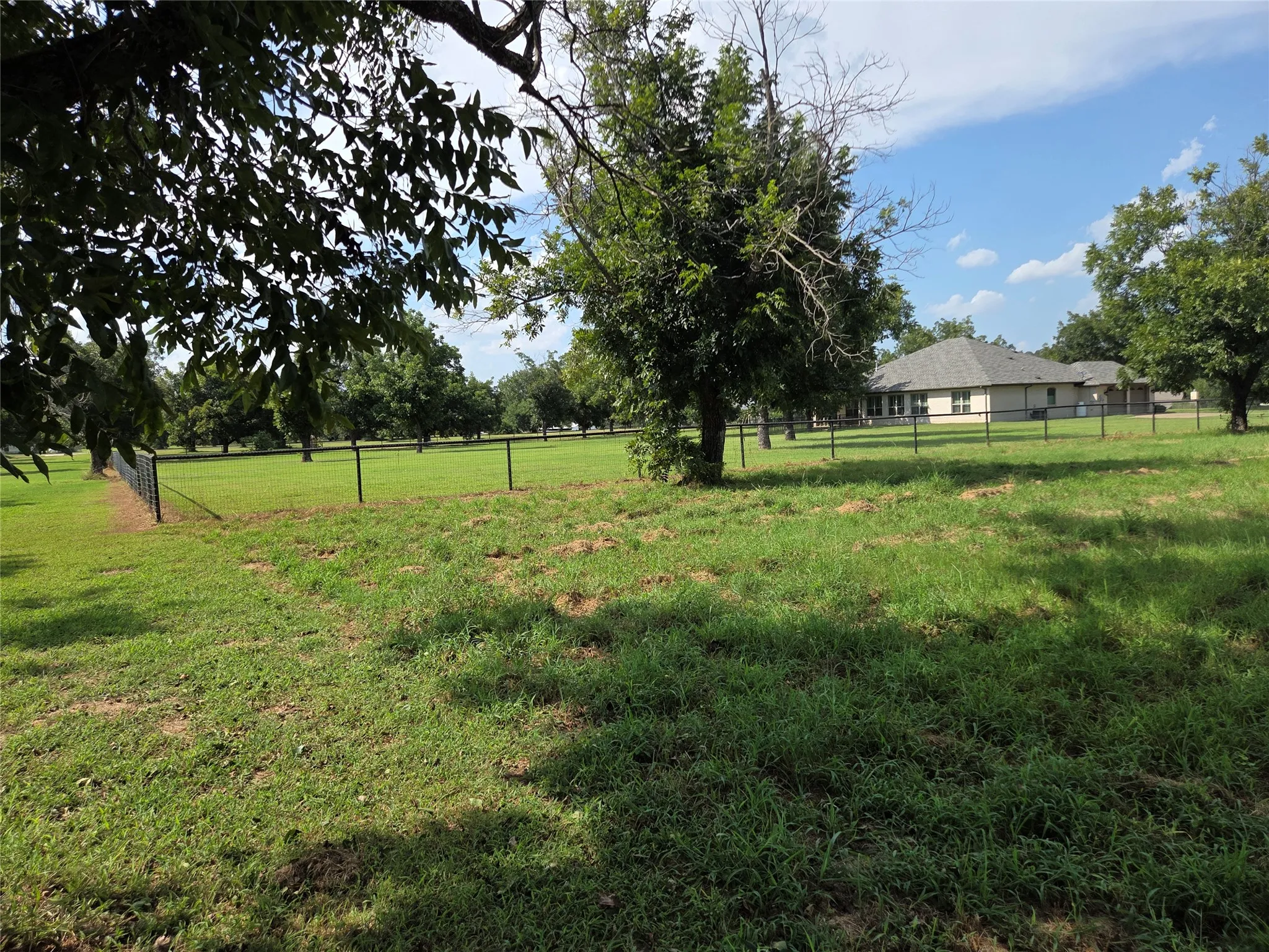 Expansive green lawn with mature trees and perimeter fencing