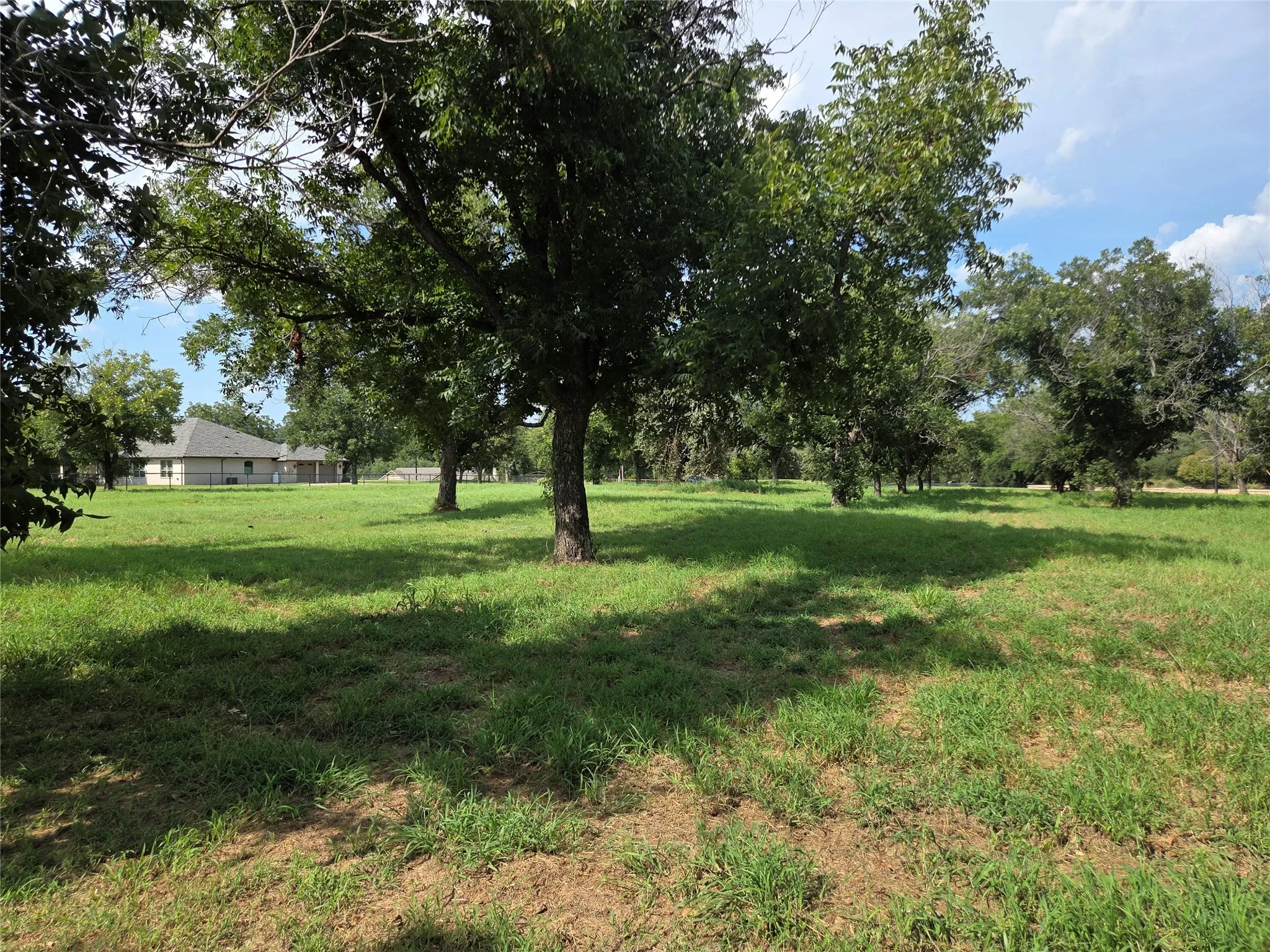 Expansive green lawn with mature trees and a single-story residence featuring a shingled roof