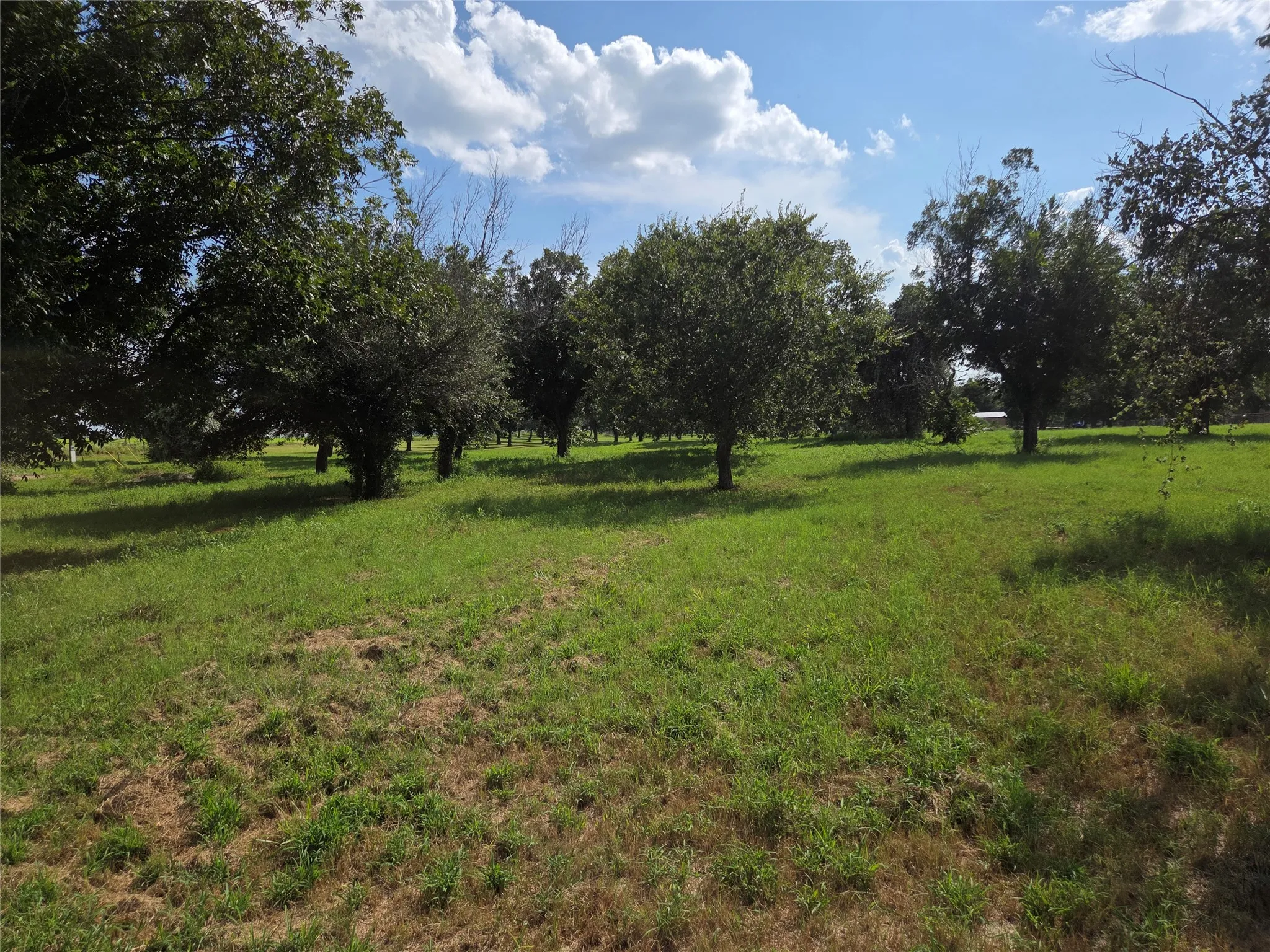 Expansive grassy grounds featuring numerous mature trees