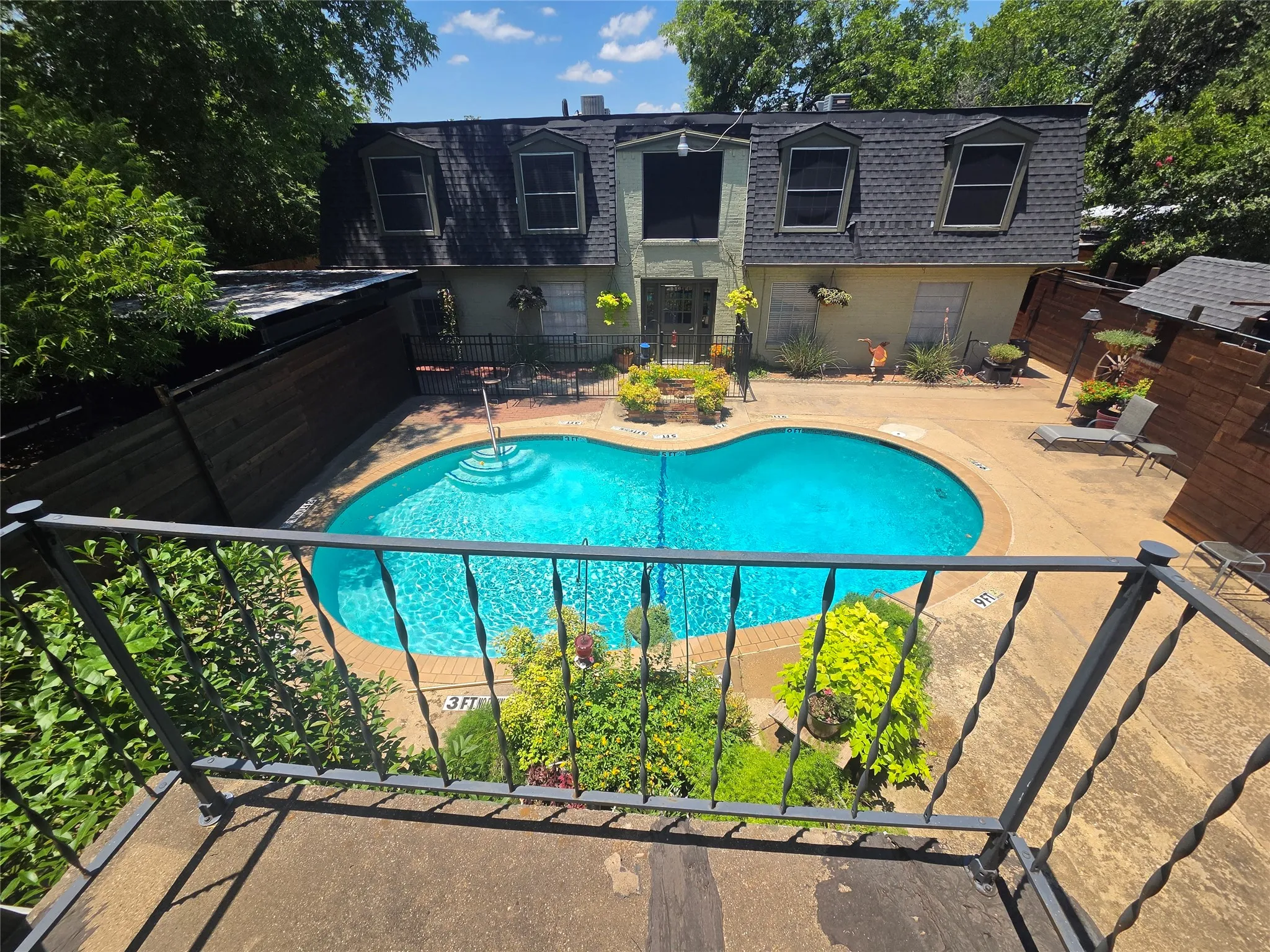 Freeform swimming pool with a surrounding concrete patio