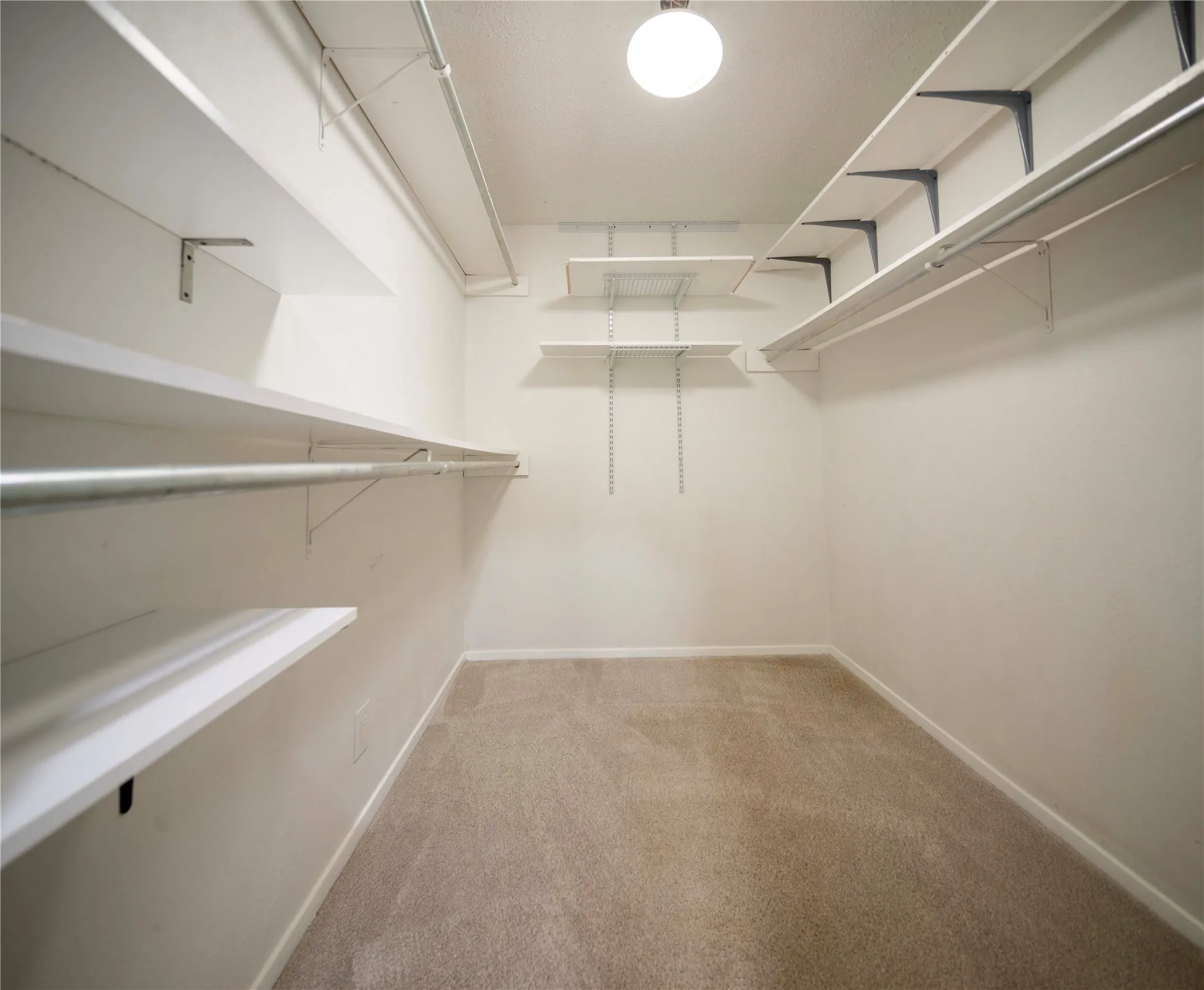 Walk-in closet with carpet flooring, mounted shelving, and ceiling-mounted lighting