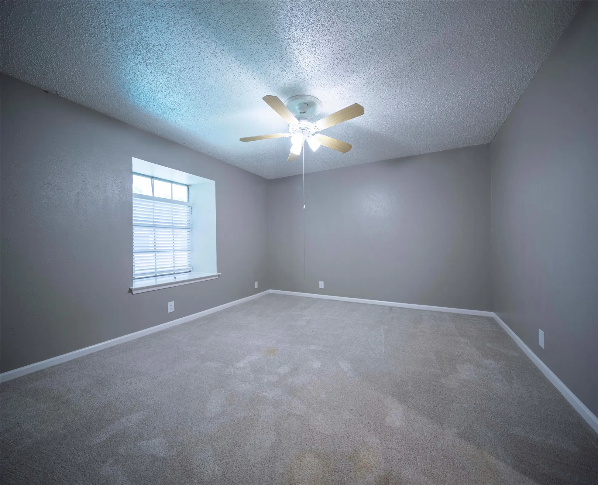 Spacious room featuring neutral carpeting, a ceiling fan with integrated lighting, and a window with blinds