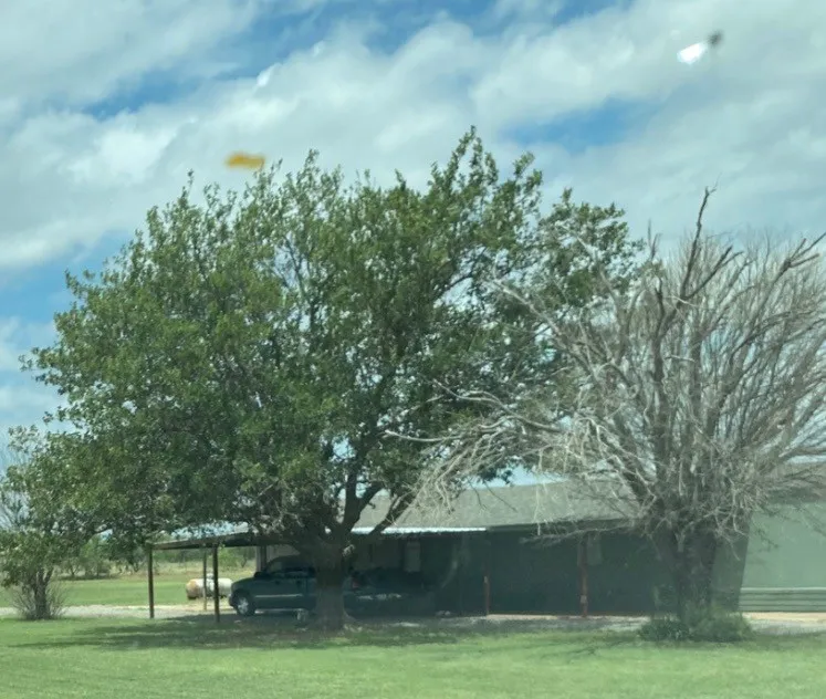 Single Family Residence For Rent in Jones County , 3724 County Road 458, Hawley, Texas 79525, 2 Bedroom, 2 Bathroom, Garage spaces, 1,152 Sqft, built in 1984, mls#21388409, Real Estate Agent in Hawley, Homes For Rent in Jones county, Homes For Rent in Hawley, Realtor in Hawley Texas, Real Estate Brokerage Independent Realty Texas, Luminita Cordes Realtor