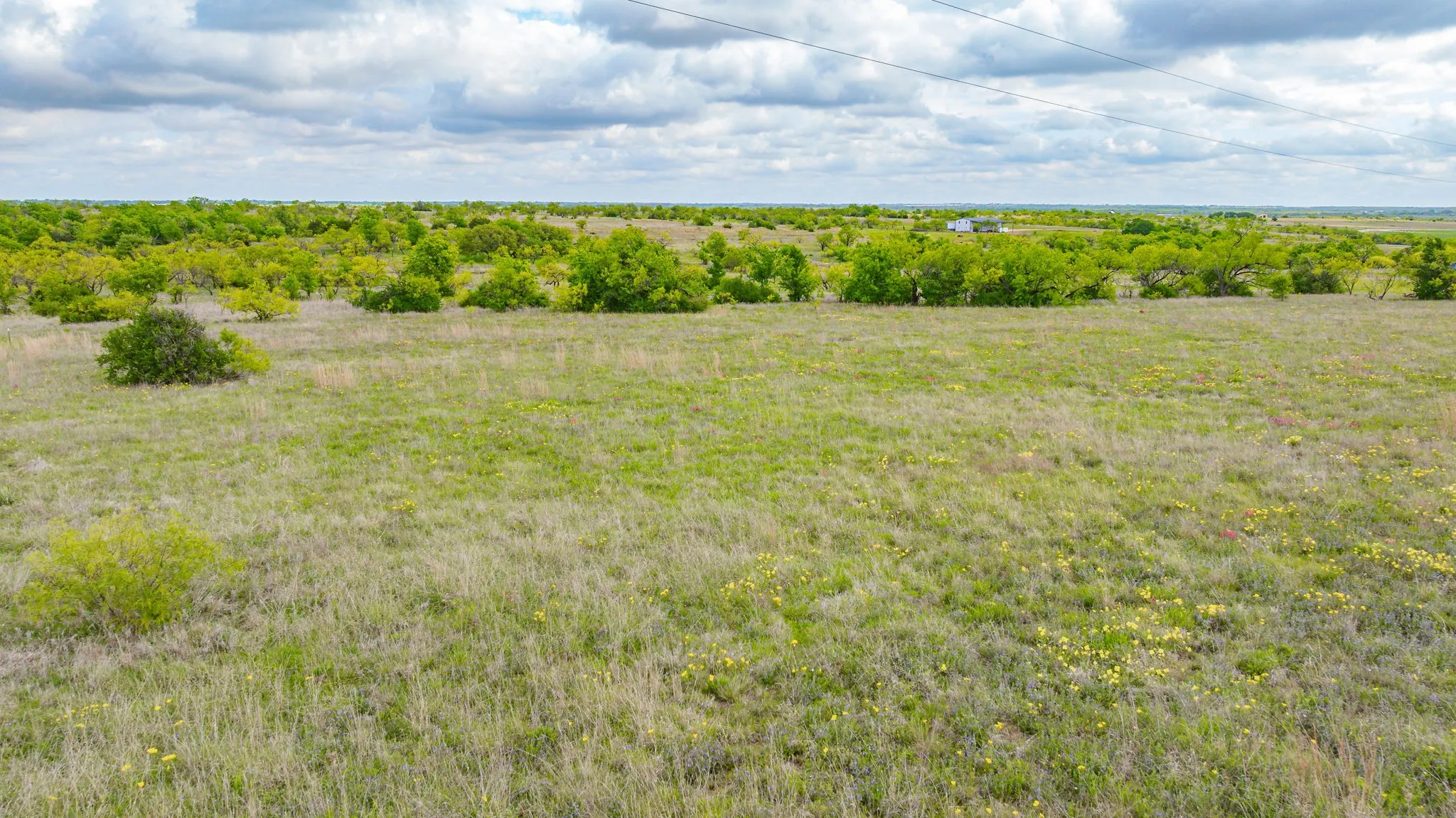 Expansive open land featuring natural grasses, scattered brush, and distant trees