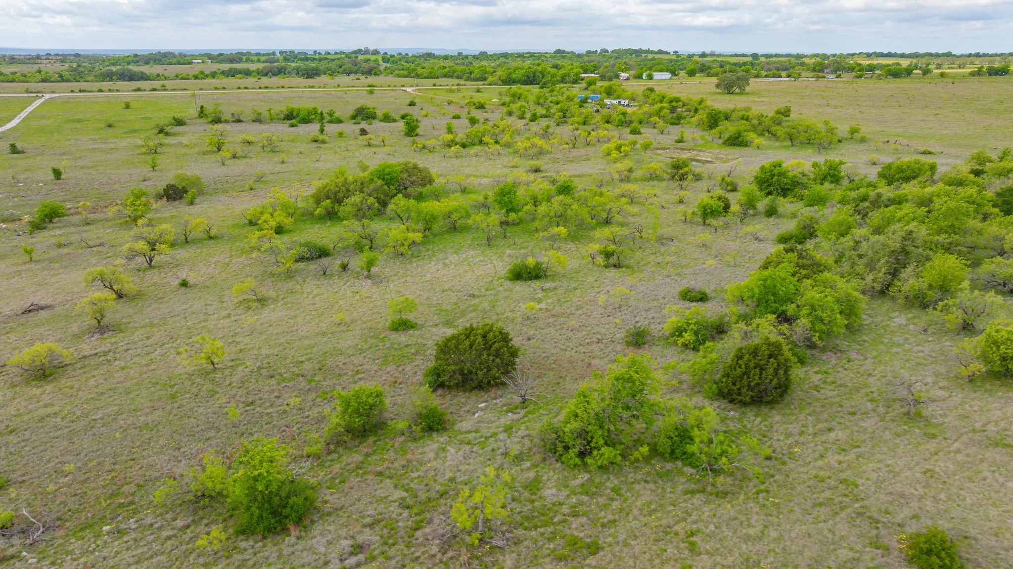 Expansive open land with scattered trees and natural vegetation under a cloudy sky