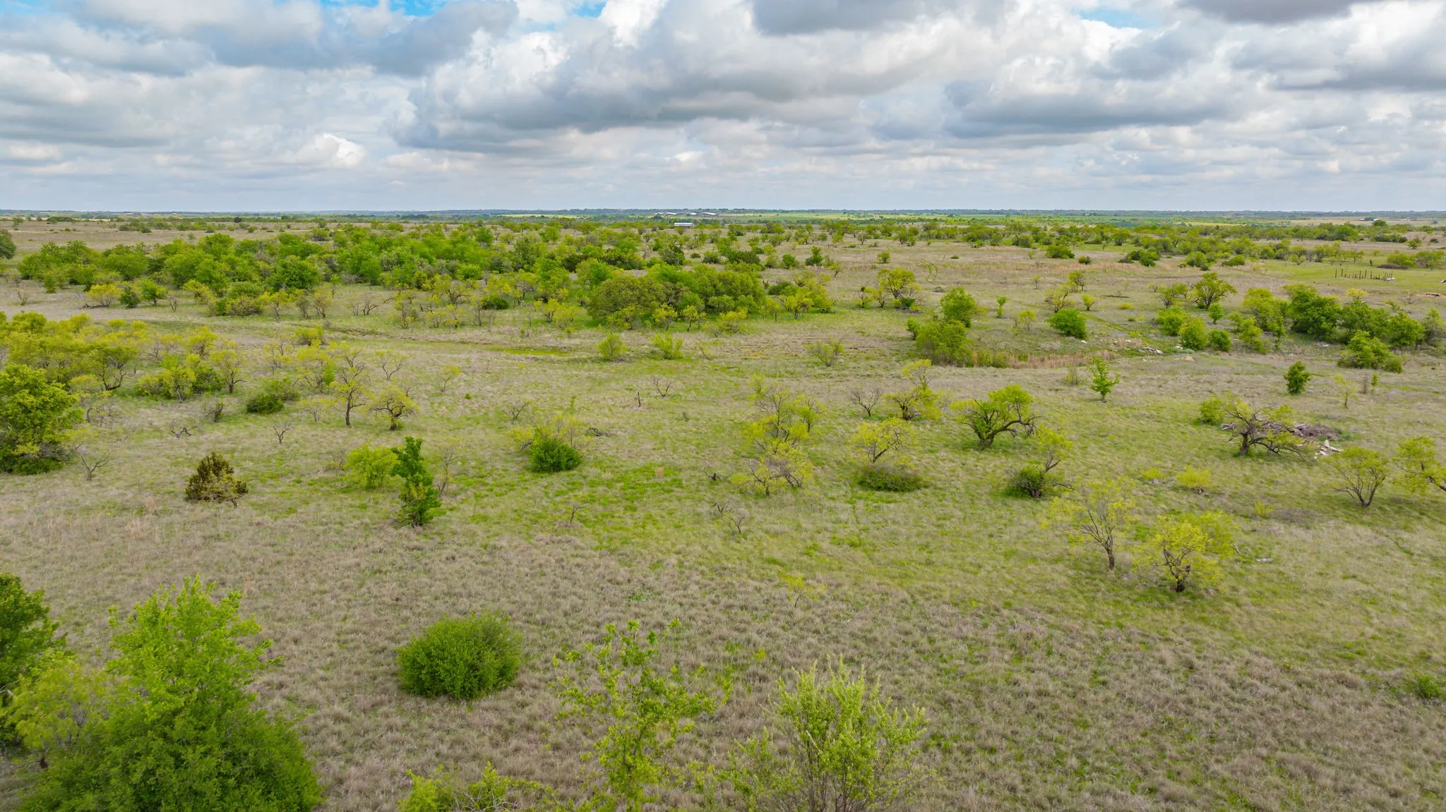Expansive open land featuring natural grasses and scattered deciduous trees under a partially clouded sky