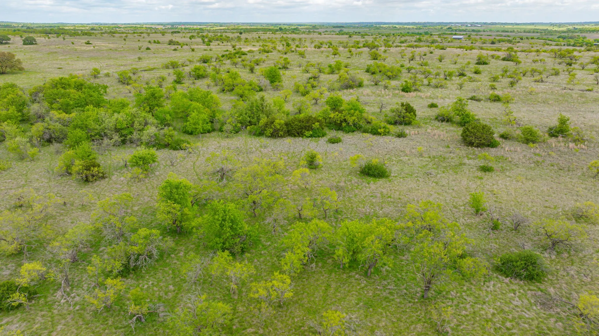 Expansive land parcel featuring open fields and scattered mature trees