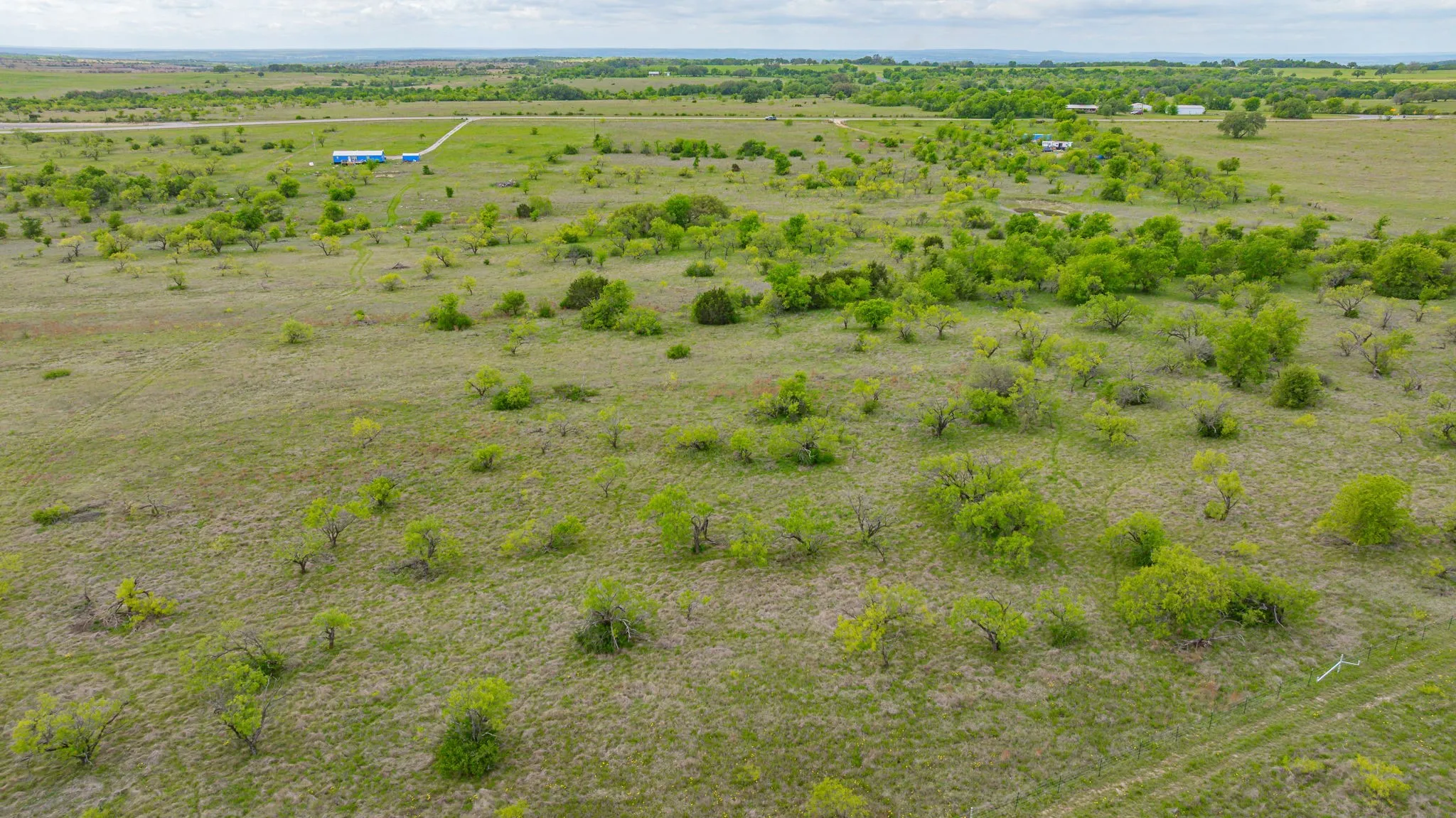 Expansive landscape featuring scattered trees and brush
