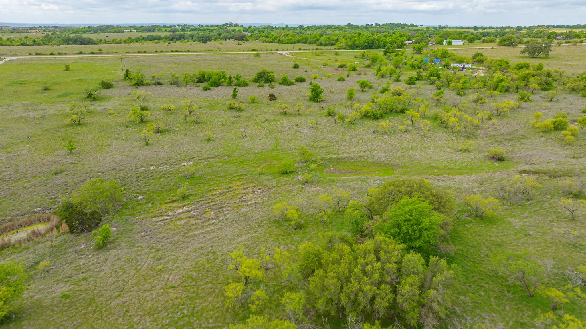 Expansive green landscape featuring varied trees and natural vegetation