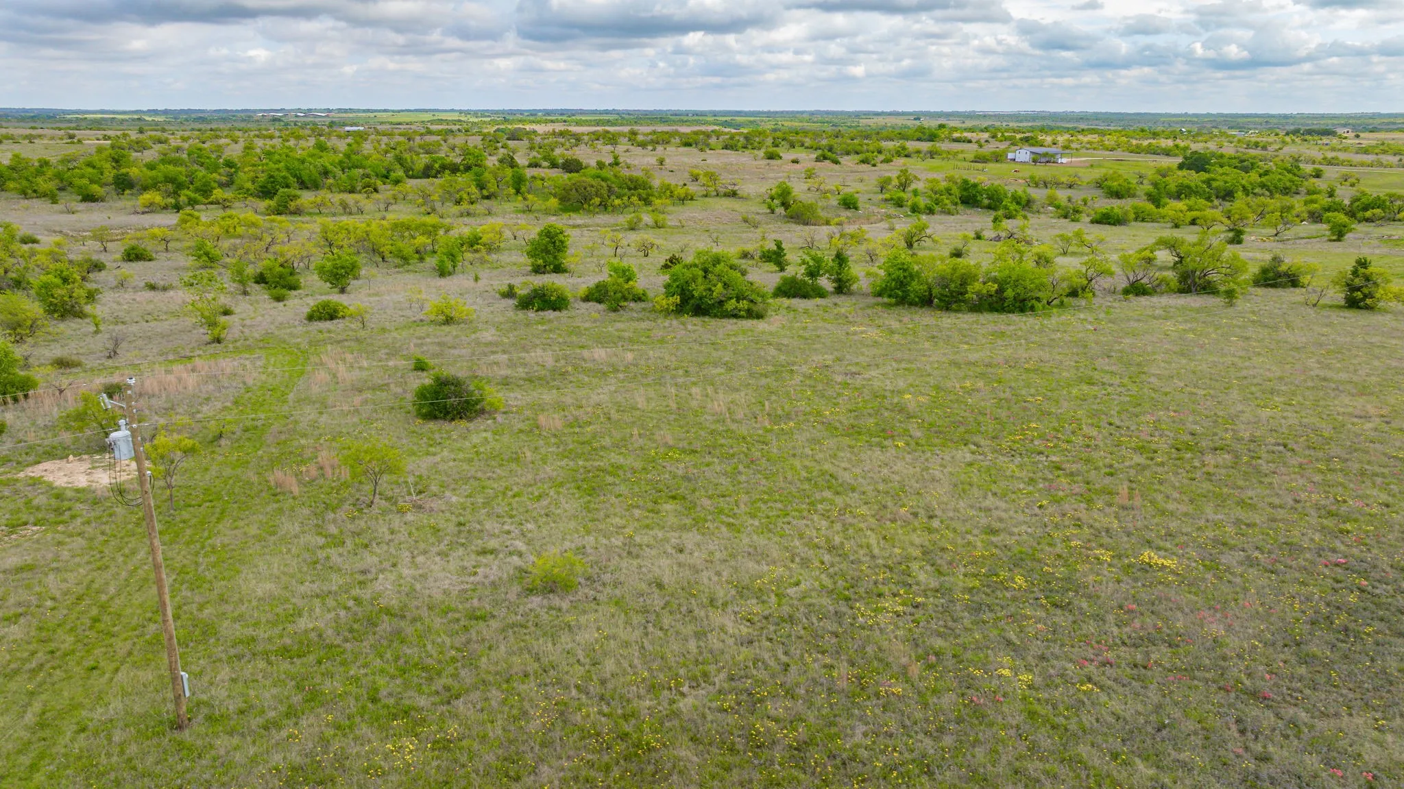 Expansive open land with varied green foliage and scattered trees, featuring a distant structure