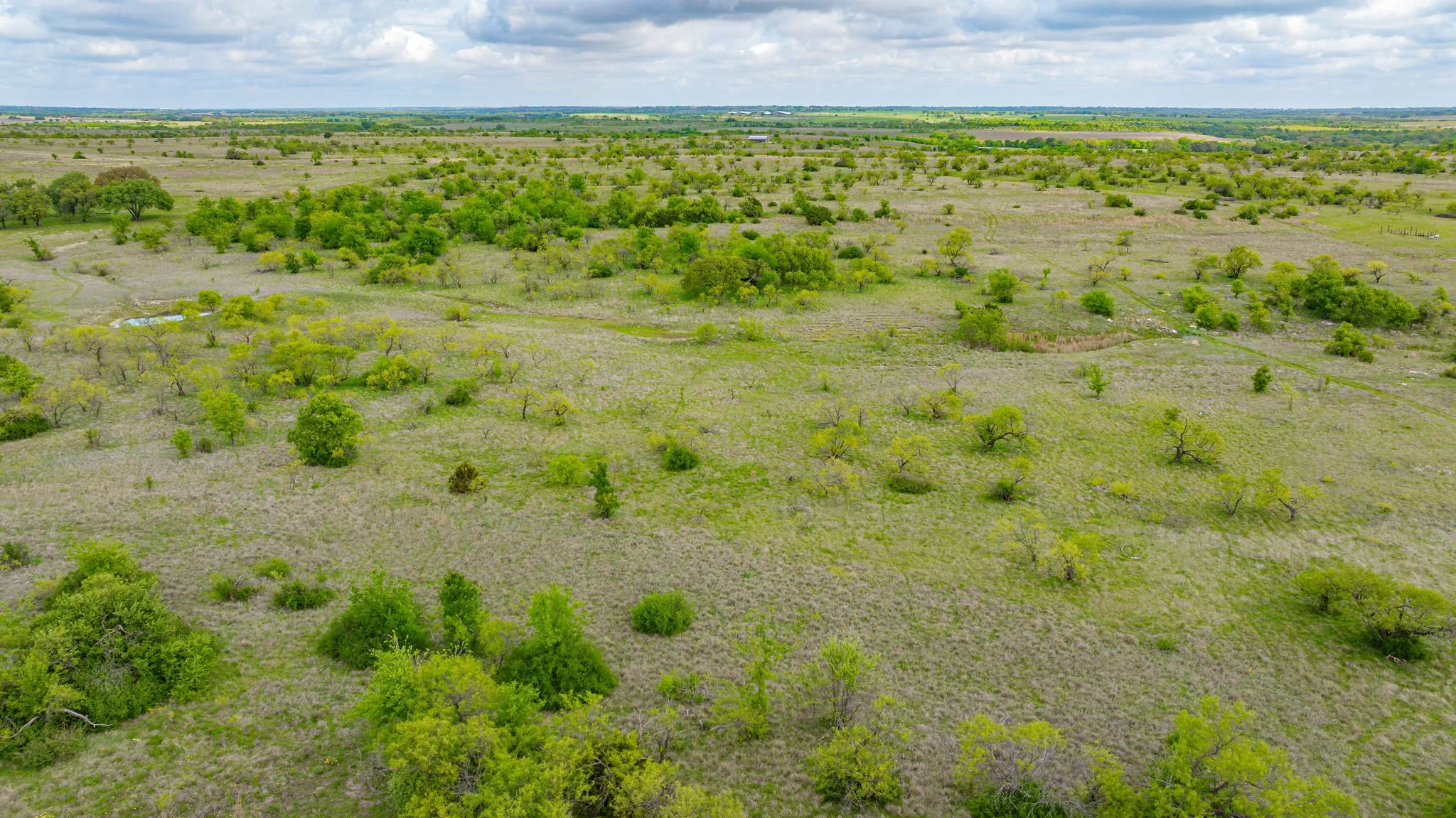 Expansive undeveloped land featuring natural vegetation and scattered trees