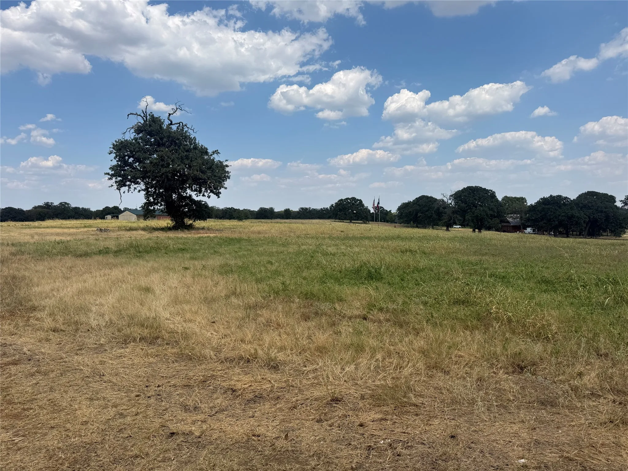 Unimproved Land For Sale in Denton County , 831 Porter Road, Bartonville, Texas 76226, 0, 0, Garage spaces, 0 Sqft, built in 0, mls#21392164, Real Estate Agent in Bartonville, Homes For Sale in Denton county, Homes For Sale in Bartonville, Realtor in Bartonville Texas, Real Estate Brokerage Independent Realty Texas, Luminita Cordes Realtor