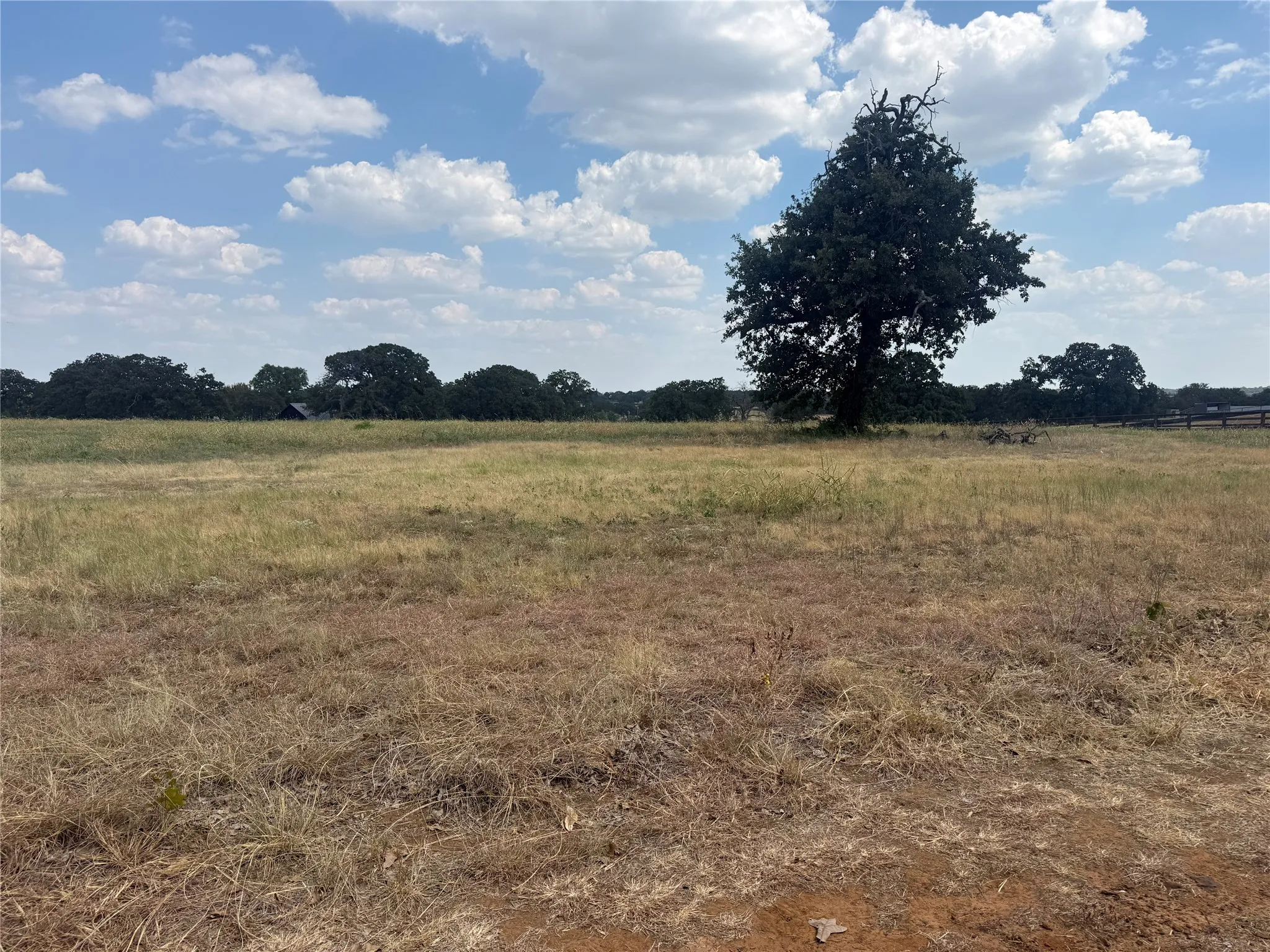 Unimproved Land For Sale in Denton County , 831 Porter Road, Bartonville, Texas 76226, 0, 0, Garage spaces, 0 Sqft, built in 0, mls#21392164, Real Estate Agent in Bartonville, Homes For Sale in Denton county, Homes For Sale in Bartonville, Realtor in Bartonville Texas, Real Estate Brokerage Independent Realty Texas, Luminita Cordes Realtor