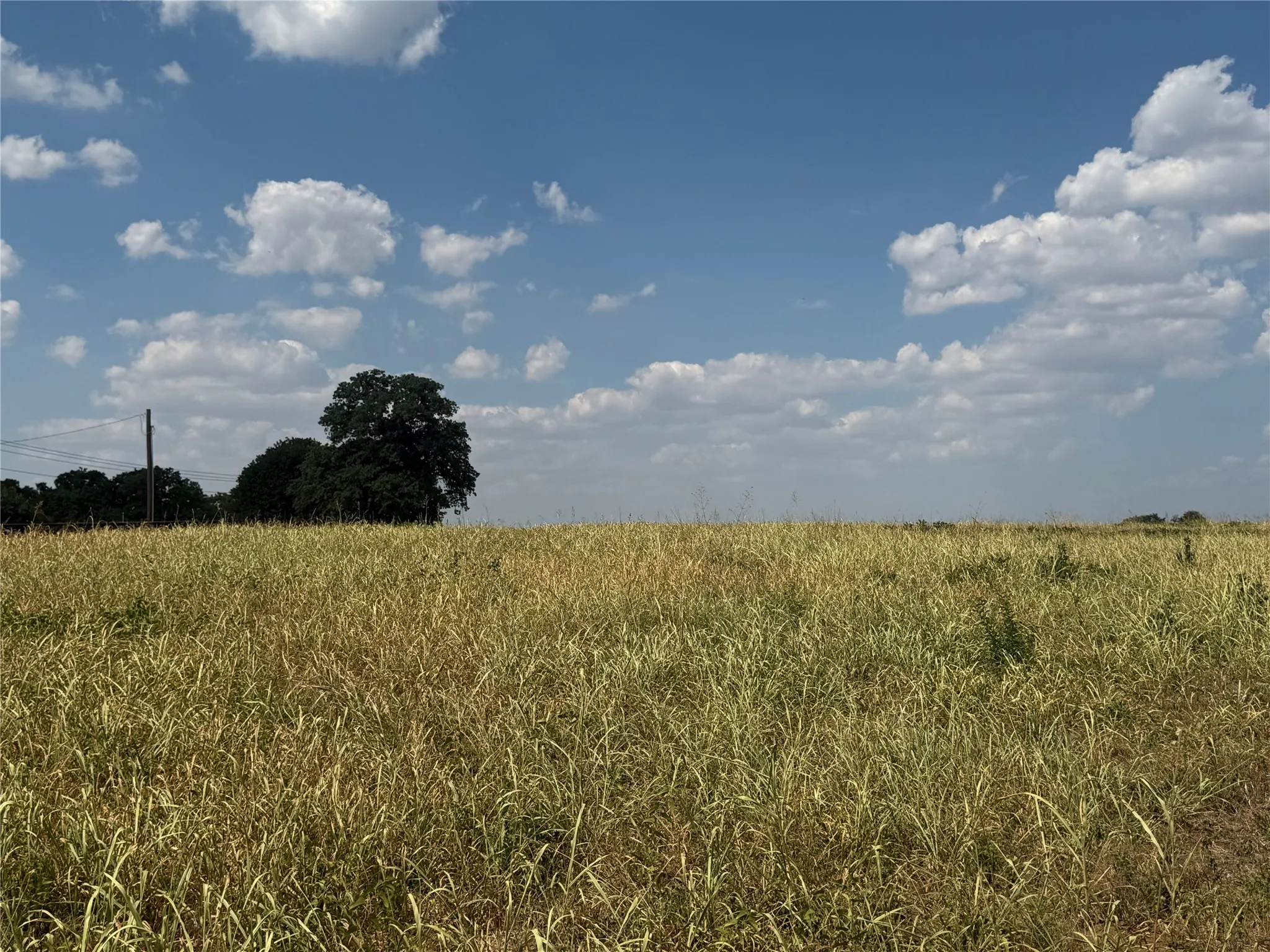Unimproved Land For Sale in Denton County , 831 Porter Road, Bartonville, Texas 76226, 0, 0, Garage spaces, 0 Sqft, built in 0, mls#21392164, Real Estate Agent in Bartonville, Homes For Sale in Denton county, Homes For Sale in Bartonville, Realtor in Bartonville Texas, Real Estate Brokerage Independent Realty Texas, Luminita Cordes Realtor