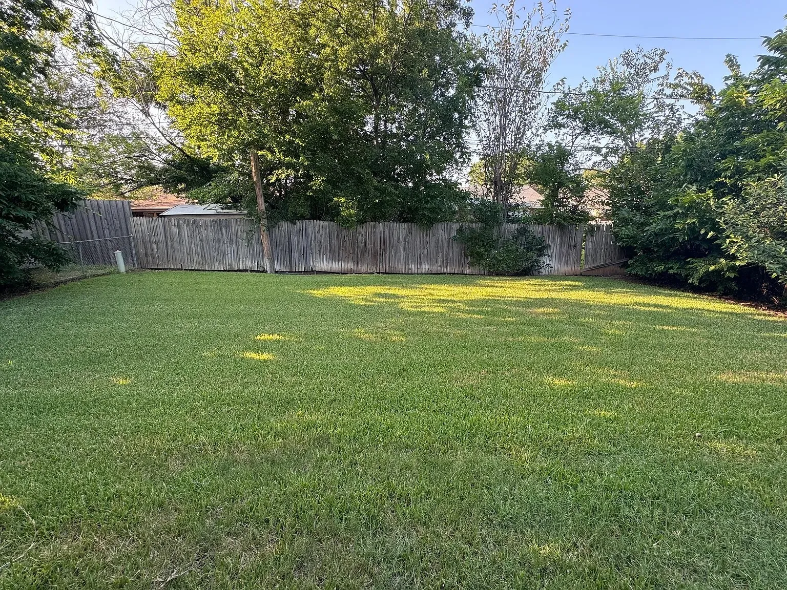 Expansive fenced backyard featuring a manicured lawn, mature trees, and a wooden privacy fence