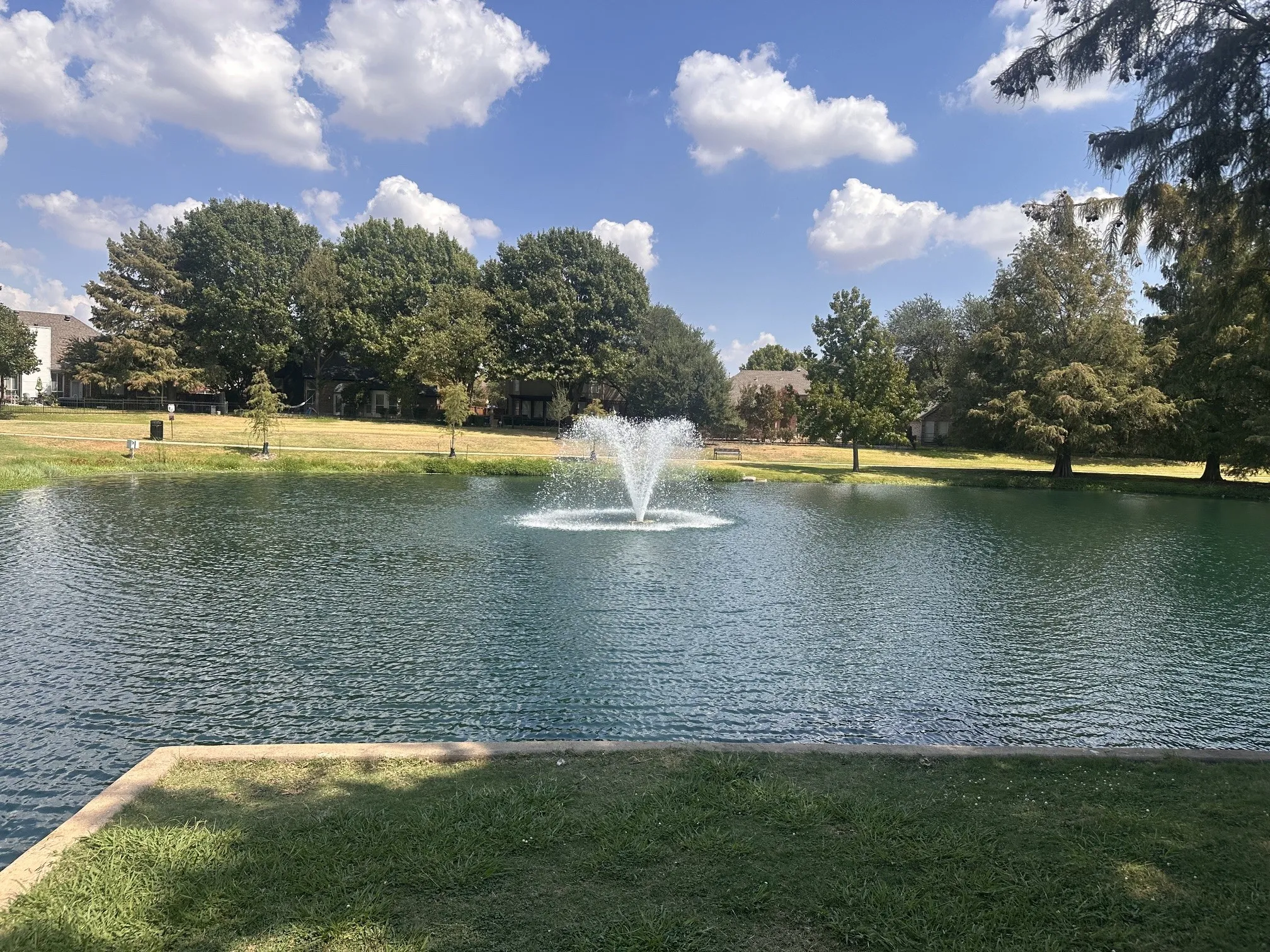 Water feature with a fountain, surrounded by a landscaped bank and mature trees