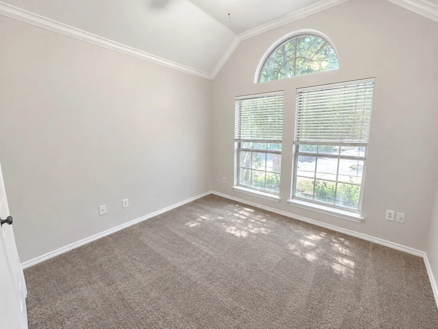 Vaulted ceiling with crown molding, arched transom window, two double-hung windows, and carpeted flooring