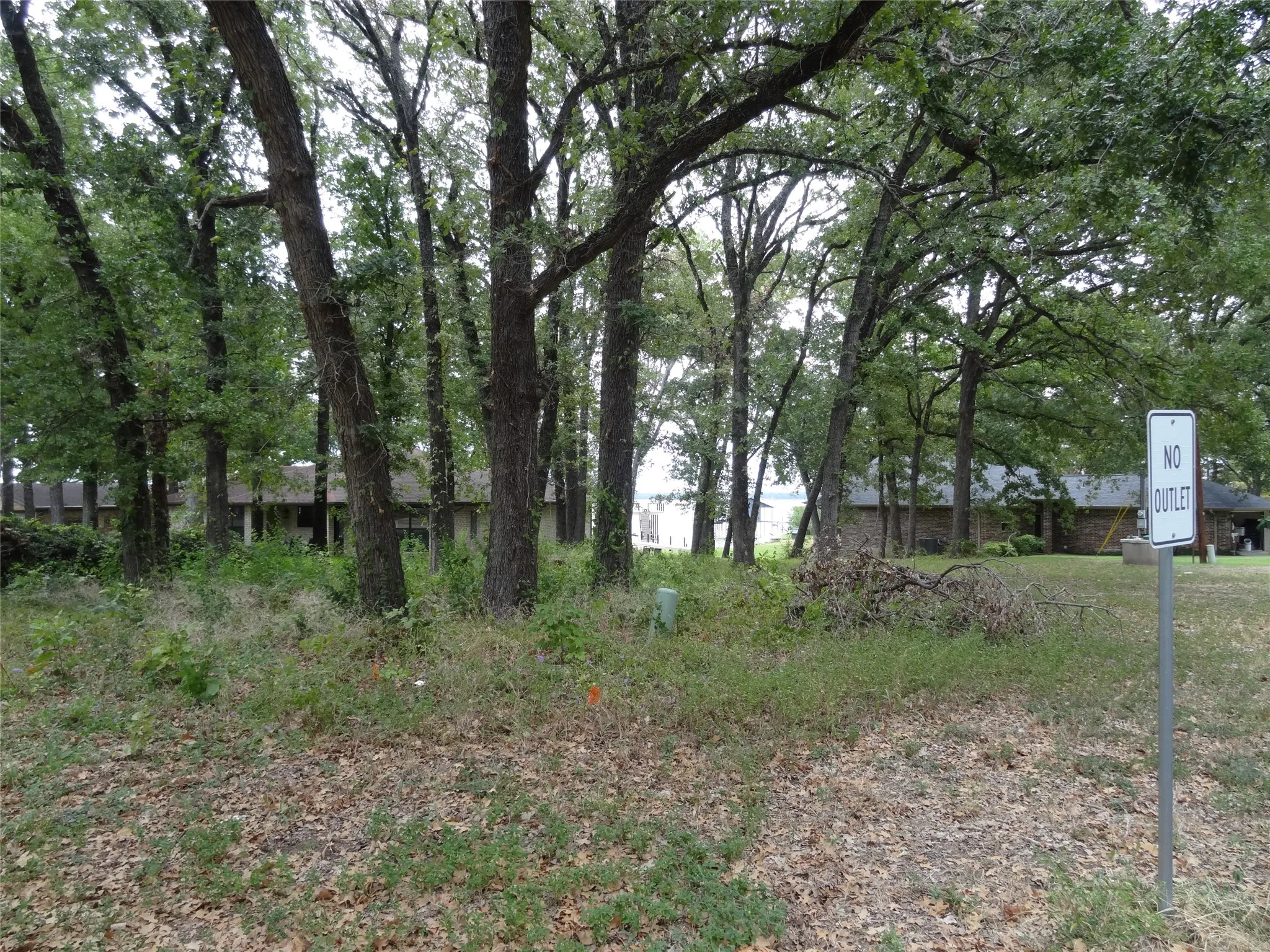 View of the Lot