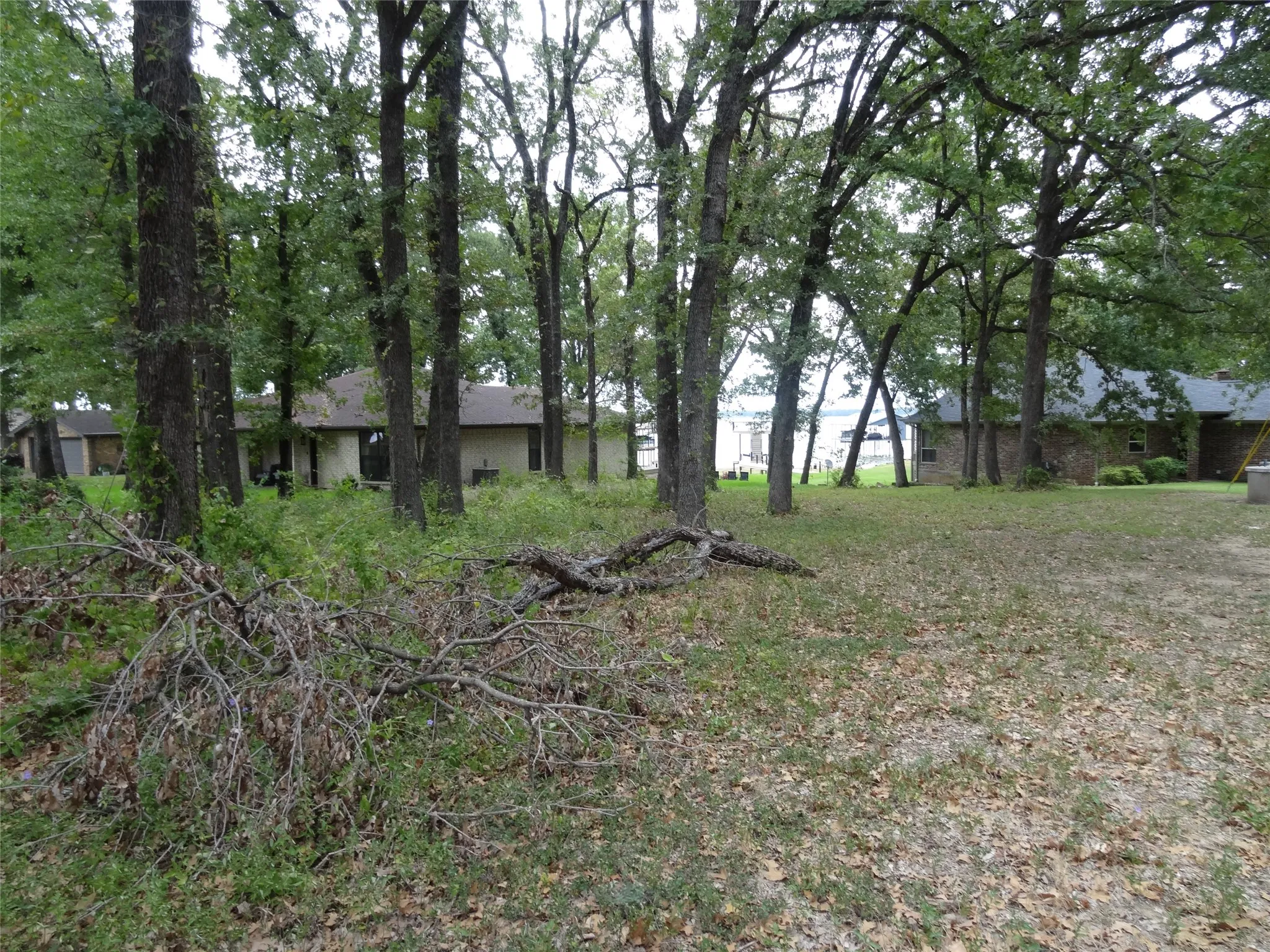 View of the Lot