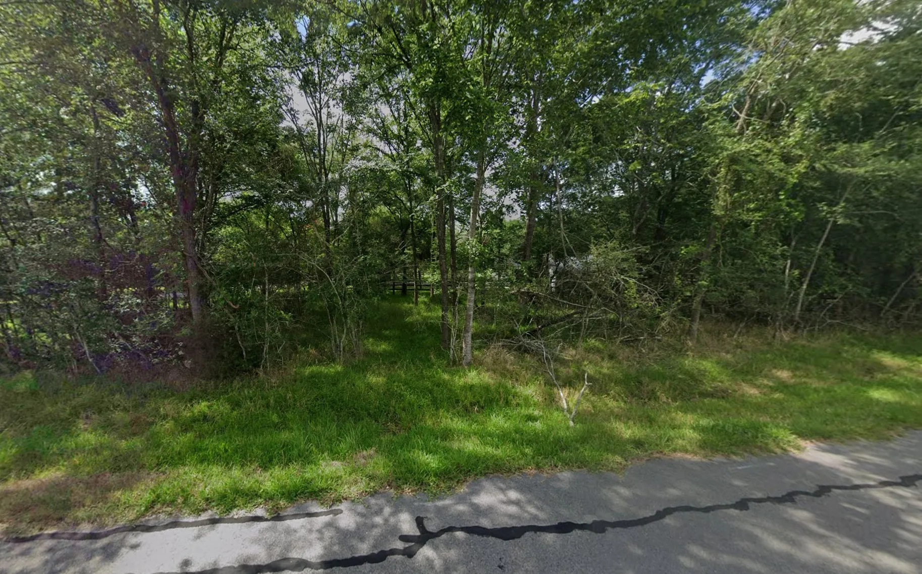 Improved Land For Sale in Montgomery County , 15915 Westward Ho Street, Stagecoach, Texas 77355, 0, 0, Garage spaces, 0 Sqft, built in 0, mls#21392255, Real Estate Agent in Stagecoach, Homes For Sale in Montgomery county, Homes For Sale in Stagecoach, Realtor in Stagecoach Texas, Real Estate Brokerage Independent Realty Texas, Luminita Cordes Realtor