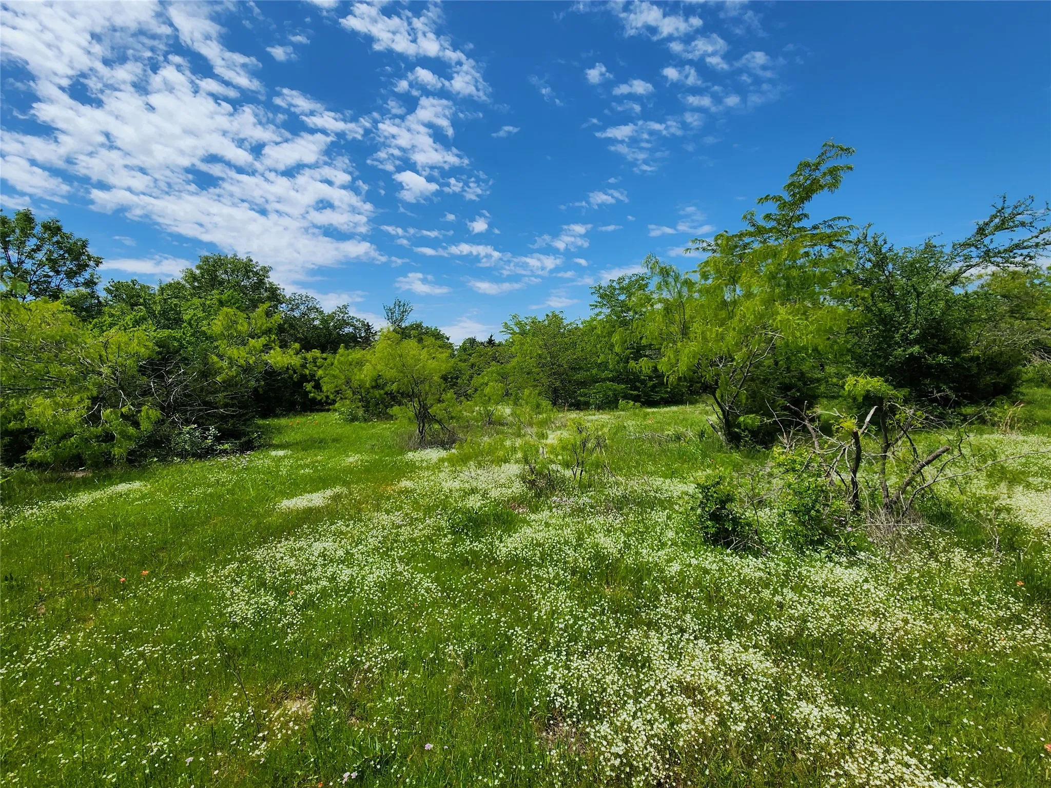 Unimproved Land For Sale in Hopkins County , 0000 W Interstate Hwy 30, Sulphur Springs, Texas 75482, 0, 0, Garage spaces, 0 Sqft, built in 0, mls#21392294, Real Estate Agent in Sulphur Springs, Homes For Sale in Hopkins county, Homes For Sale in Sulphur Springs, Realtor in Sulphur Springs Texas, Real Estate Brokerage Independent Realty Texas, Luminita Cordes Realtor