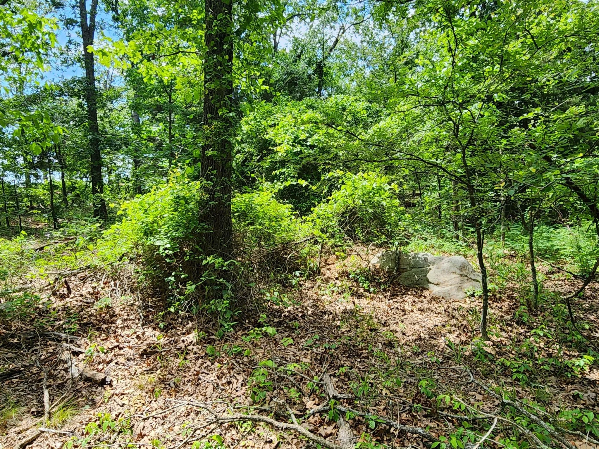 Unimproved Land For Sale in Hopkins County , 0000 W Interstate Hwy 30, Sulphur Springs, Texas 75482, 0, 0, Garage spaces, 0 Sqft, built in 0, mls#21392294, Real Estate Agent in Sulphur Springs, Homes For Sale in Hopkins county, Homes For Sale in Sulphur Springs, Realtor in Sulphur Springs Texas, Real Estate Brokerage Independent Realty Texas, Luminita Cordes Realtor