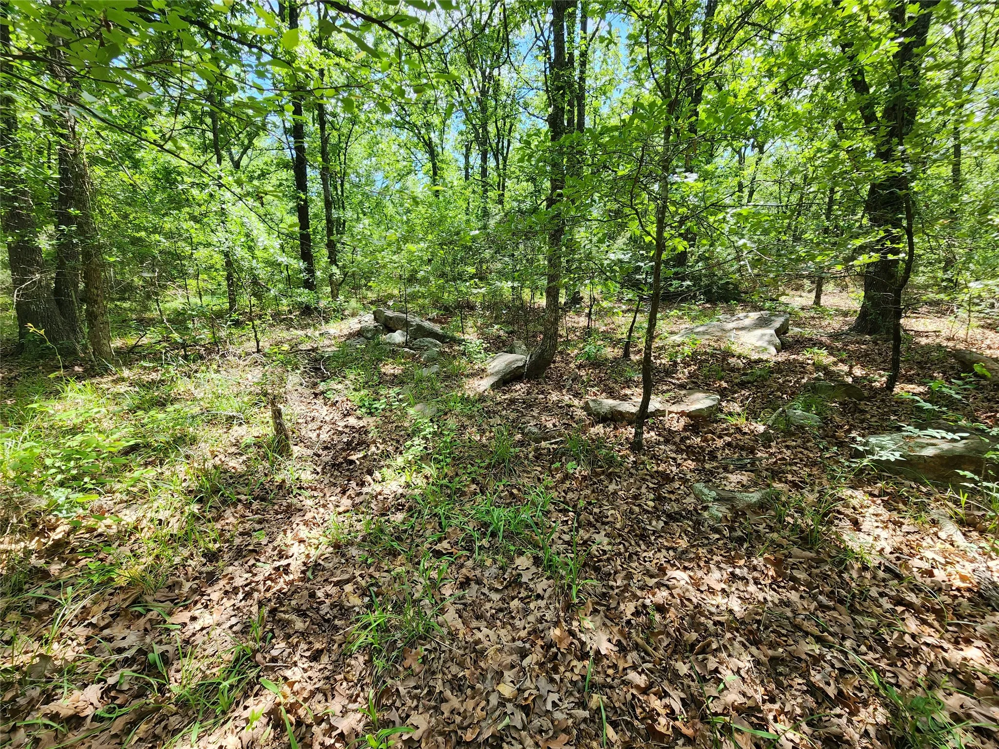 Unimproved Land For Sale in Hopkins County , 0000 W Interstate Hwy 30, Sulphur Springs, Texas 75482, 0, 0, Garage spaces, 0 Sqft, built in 0, mls#21392294, Real Estate Agent in Sulphur Springs, Homes For Sale in Hopkins county, Homes For Sale in Sulphur Springs, Realtor in Sulphur Springs Texas, Real Estate Brokerage Independent Realty Texas, Luminita Cordes Realtor