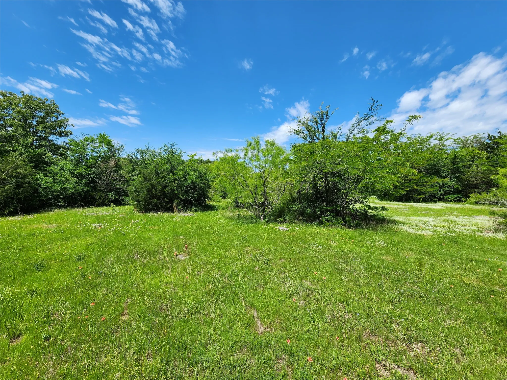 Unimproved Land For Sale in Hopkins County , 0000 W Interstate Hwy 30, Sulphur Springs, Texas 75482, 0, 0, Garage spaces, 0 Sqft, built in 0, mls#21392294, Real Estate Agent in Sulphur Springs, Homes For Sale in Hopkins county, Homes For Sale in Sulphur Springs, Realtor in Sulphur Springs Texas, Real Estate Brokerage Independent Realty Texas, Luminita Cordes Realtor