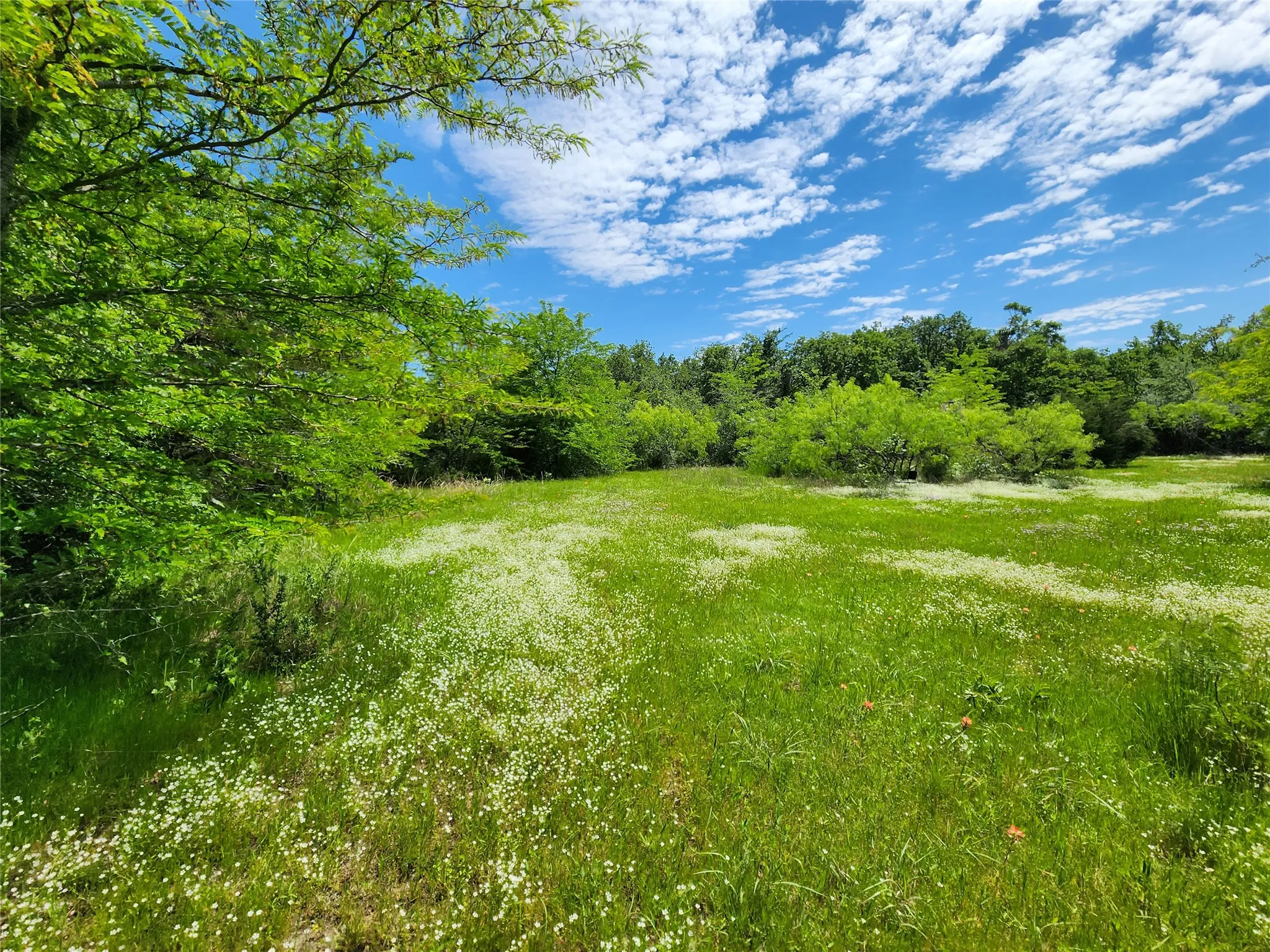 Unimproved Land For Sale in Hopkins County , 0000 W Interstate Hwy 30, Sulphur Springs, Texas 75482, 0, 0, Garage spaces, 0 Sqft, built in 0, mls#21392294, Real Estate Agent in Sulphur Springs, Homes For Sale in Hopkins county, Homes For Sale in Sulphur Springs, Realtor in Sulphur Springs Texas, Real Estate Brokerage Independent Realty Texas, Luminita Cordes Realtor