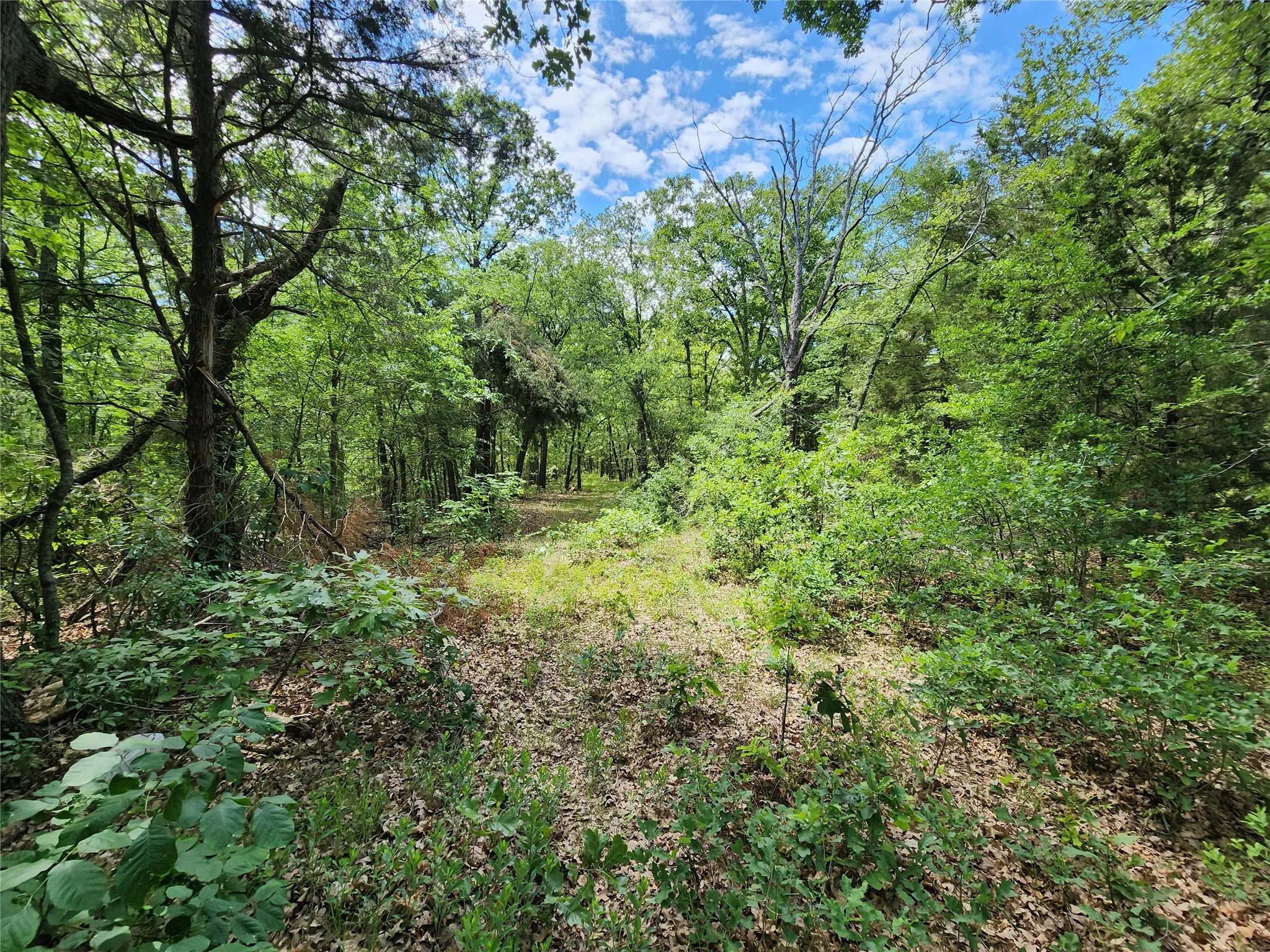 Unimproved Land For Sale in Hopkins County , 0000 W Interstate Hwy 30, Sulphur Springs, Texas 75482, 0, 0, Garage spaces, 0 Sqft, built in 0, mls#21392294, Real Estate Agent in Sulphur Springs, Homes For Sale in Hopkins county, Homes For Sale in Sulphur Springs, Realtor in Sulphur Springs Texas, Real Estate Brokerage Independent Realty Texas, Luminita Cordes Realtor