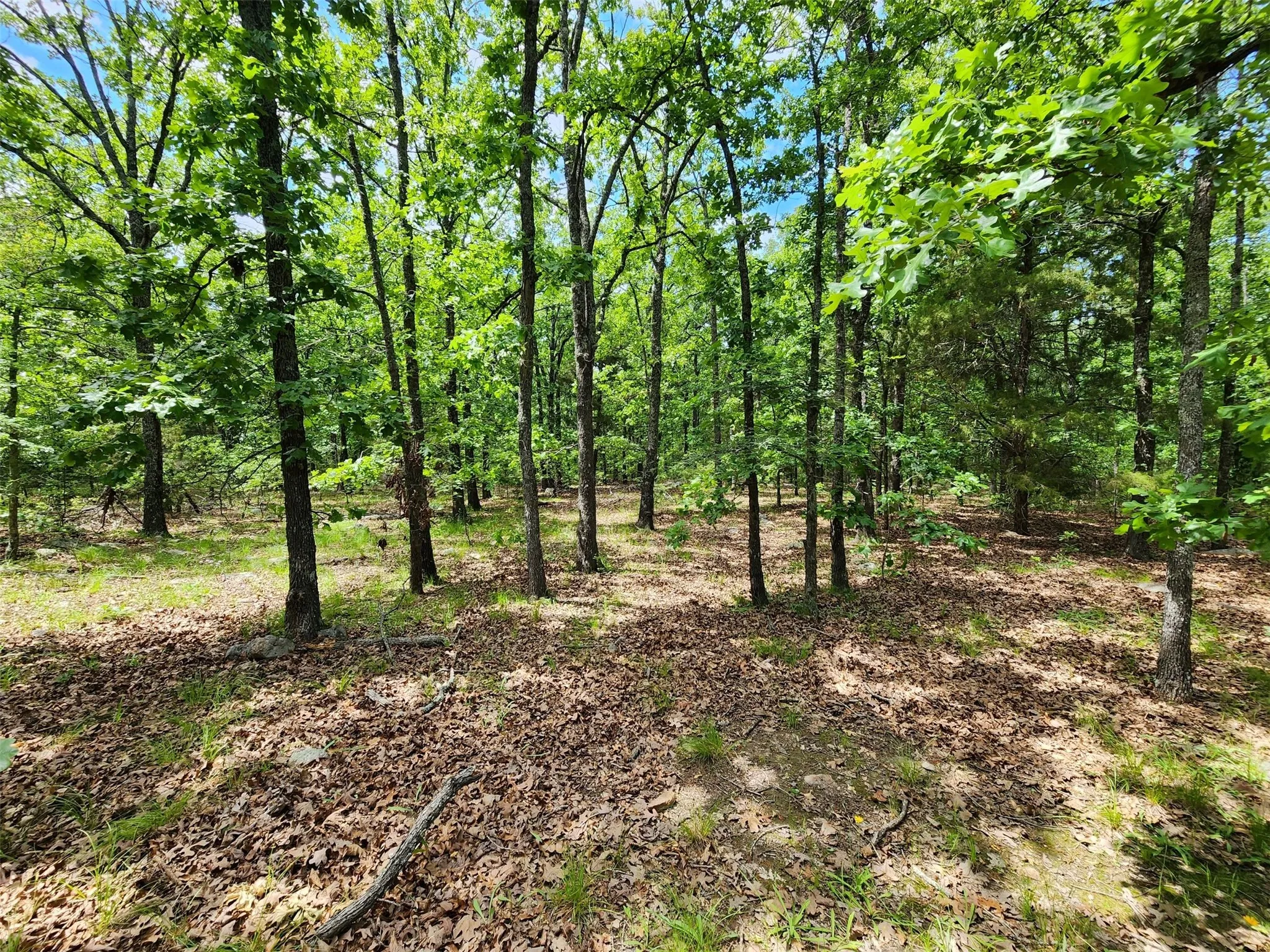 Unimproved Land For Sale in Hopkins County , 0000 W Interstate Hwy 30, Sulphur Springs, Texas 75482, 0, 0, Garage spaces, 0 Sqft, built in 0, mls#21392294, Real Estate Agent in Sulphur Springs, Homes For Sale in Hopkins county, Homes For Sale in Sulphur Springs, Realtor in Sulphur Springs Texas, Real Estate Brokerage Independent Realty Texas, Luminita Cordes Realtor