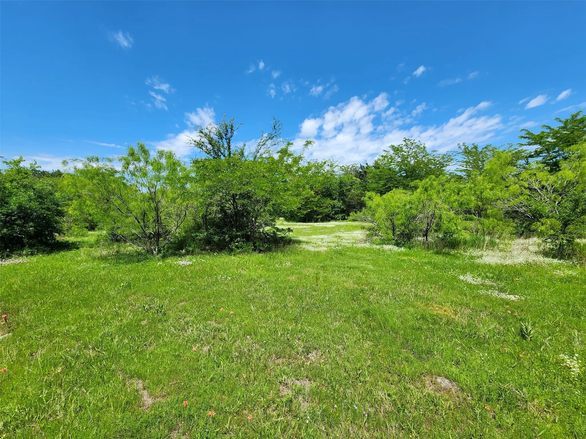 Unimproved Land For Sale in Hopkins County , 0000 W Interstate Hwy 30, Sulphur Springs, Texas 75482, 0, 0, Garage spaces, 0 Sqft, built in 0, mls#21392294, Real Estate Agent in Sulphur Springs, Homes For Sale in Hopkins county, Homes For Sale in Sulphur Springs, Realtor in Sulphur Springs Texas, Real Estate Brokerage Independent Realty Texas, Luminita Cordes Realtor