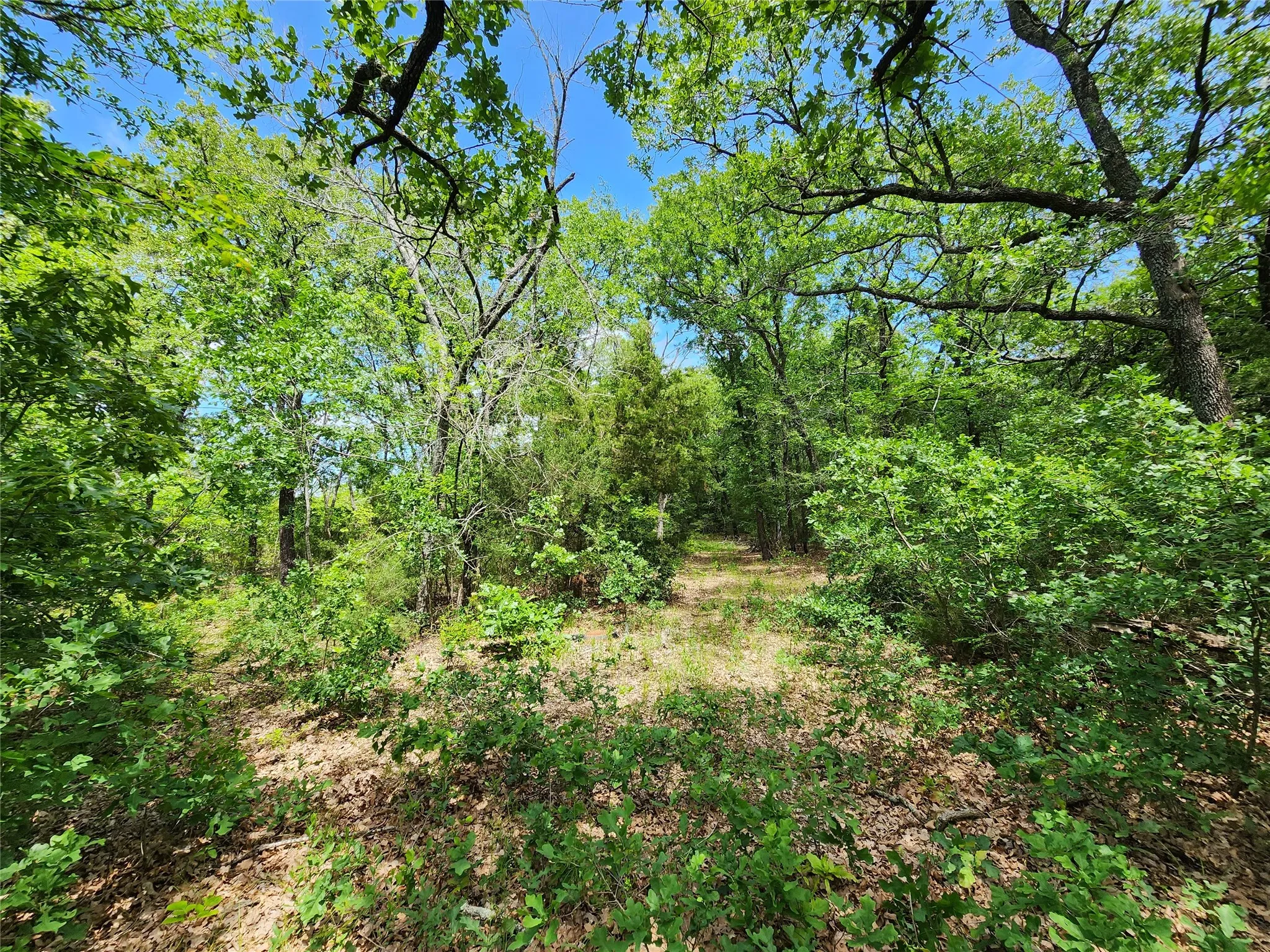 Unimproved Land For Sale in Hopkins County , 0000 W Interstate Hwy 30, Sulphur Springs, Texas 75482, 0, 0, Garage spaces, 0 Sqft, built in 0, mls#21392294, Real Estate Agent in Sulphur Springs, Homes For Sale in Hopkins county, Homes For Sale in Sulphur Springs, Realtor in Sulphur Springs Texas, Real Estate Brokerage Independent Realty Texas, Luminita Cordes Realtor