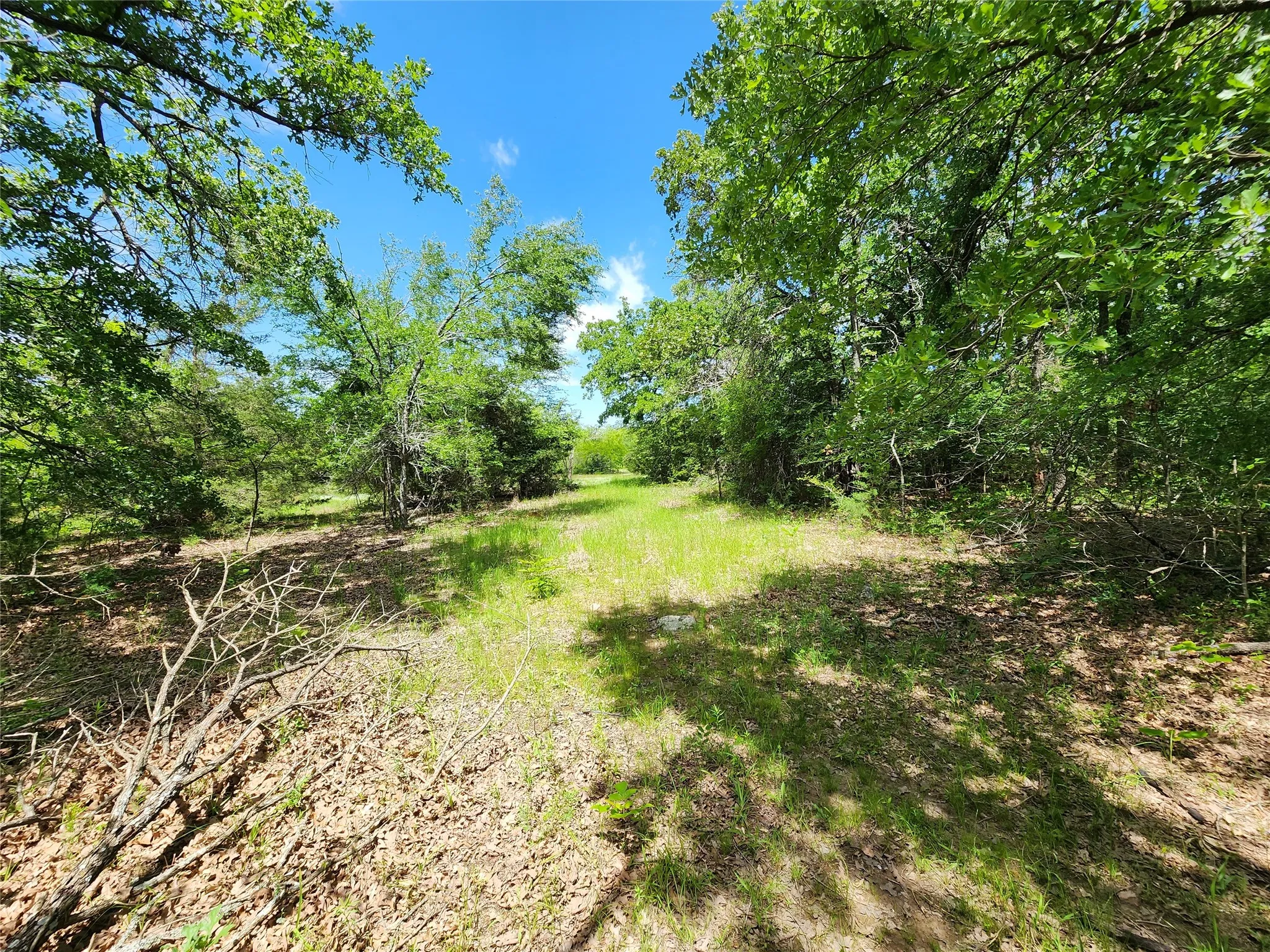 Unimproved Land For Sale in Hopkins County , 0000 W Interstate Hwy 30, Sulphur Springs, Texas 75482, 0, 0, Garage spaces, 0 Sqft, built in 0, mls#21392294, Real Estate Agent in Sulphur Springs, Homes For Sale in Hopkins county, Homes For Sale in Sulphur Springs, Realtor in Sulphur Springs Texas, Real Estate Brokerage Independent Realty Texas, Luminita Cordes Realtor