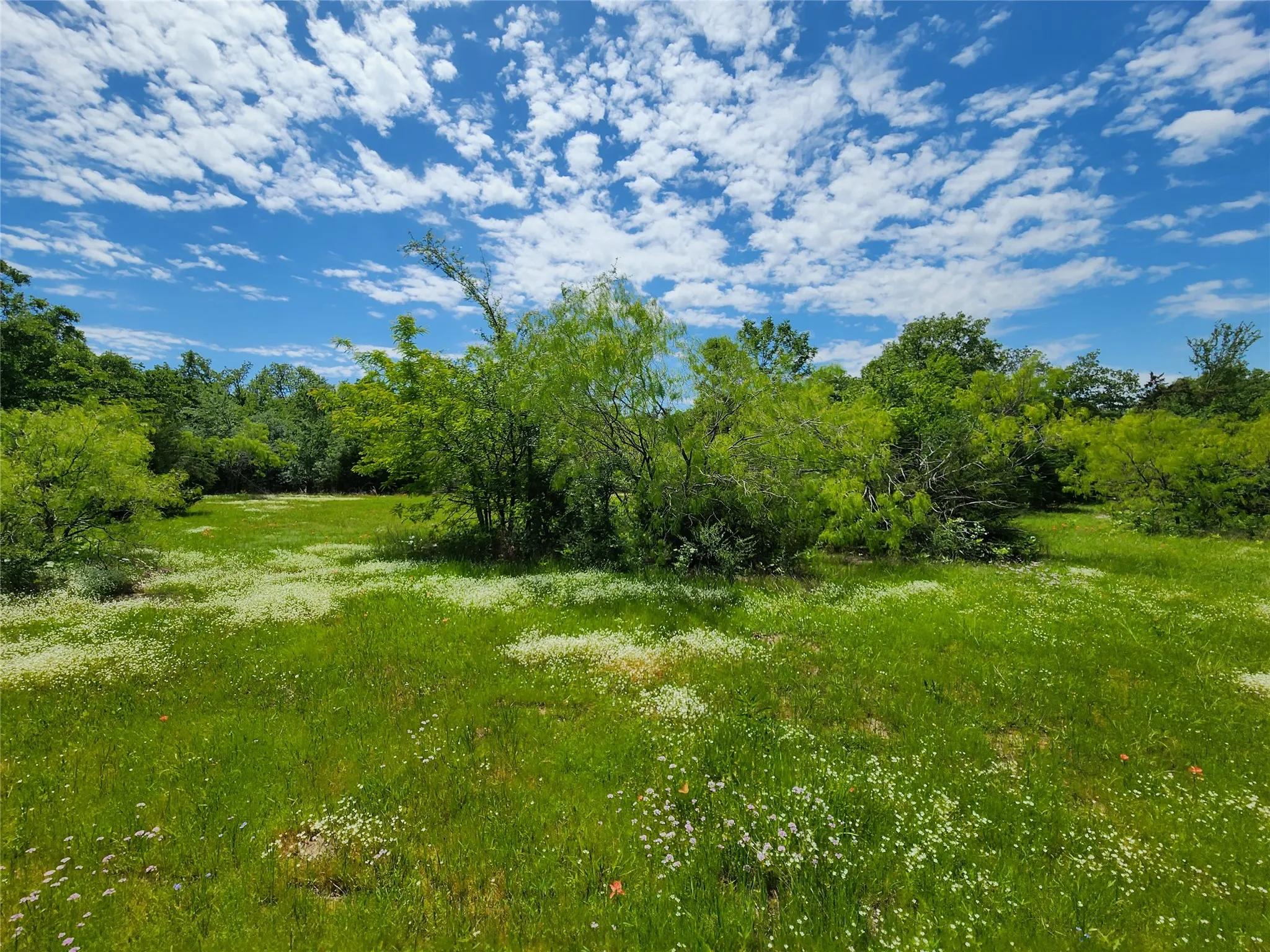 Unimproved Land For Sale in Hopkins County , 0000 W Interstate Hwy 30, Sulphur Springs, Texas 75482, 0, 0, Garage spaces, 0 Sqft, built in 0, mls#21392294, Real Estate Agent in Sulphur Springs, Homes For Sale in Hopkins county, Homes For Sale in Sulphur Springs, Realtor in Sulphur Springs Texas, Real Estate Brokerage Independent Realty Texas, Luminita Cordes Realtor