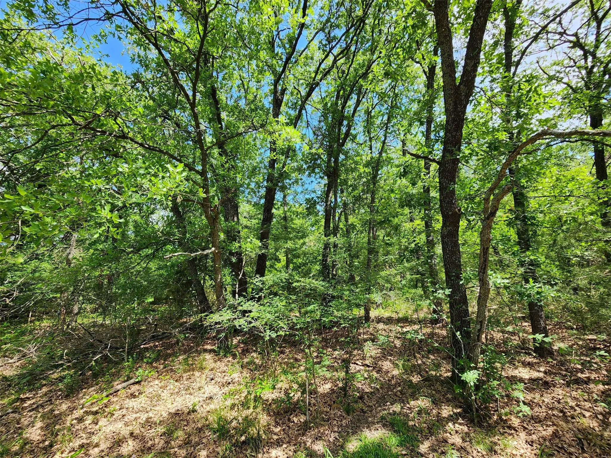 Unimproved Land For Sale in Hopkins County , 0000 W Interstate Hwy 30, Sulphur Springs, Texas 75482, 0, 0, Garage spaces, 0 Sqft, built in 0, mls#21392294, Real Estate Agent in Sulphur Springs, Homes For Sale in Hopkins county, Homes For Sale in Sulphur Springs, Realtor in Sulphur Springs Texas, Real Estate Brokerage Independent Realty Texas, Luminita Cordes Realtor