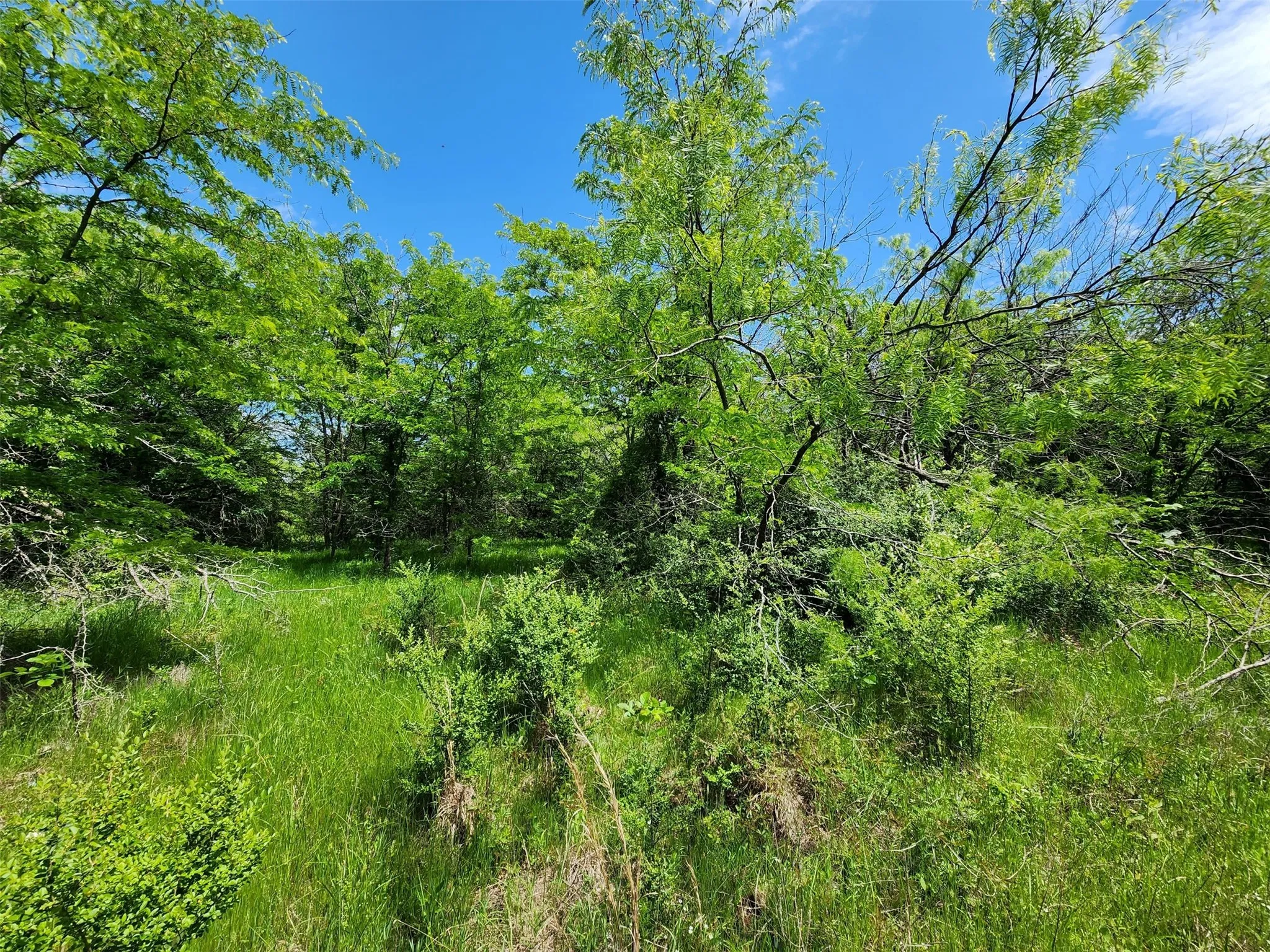 Unimproved Land For Sale in Hopkins County , 0000 W Interstate Hwy 30, Sulphur Springs, Texas 75482, 0, 0, Garage spaces, 0 Sqft, built in 0, mls#21392294, Real Estate Agent in Sulphur Springs, Homes For Sale in Hopkins county, Homes For Sale in Sulphur Springs, Realtor in Sulphur Springs Texas, Real Estate Brokerage Independent Realty Texas, Luminita Cordes Realtor
