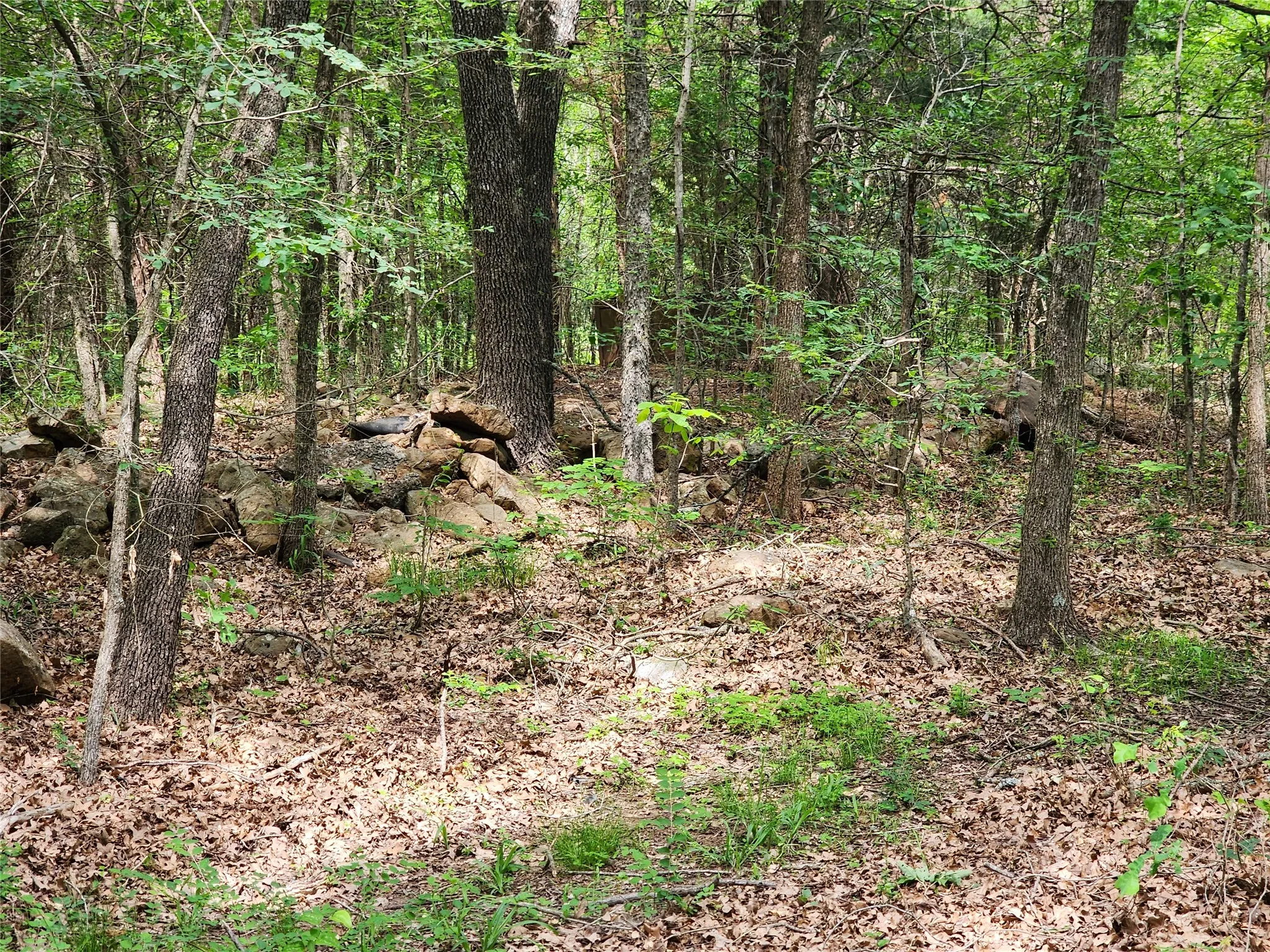 Unimproved Land For Sale in Hopkins County , 0000 W Interstate Hwy 30, Sulphur Springs, Texas 75482, 0, 0, Garage spaces, 0 Sqft, built in 0, mls#21392294, Real Estate Agent in Sulphur Springs, Homes For Sale in Hopkins county, Homes For Sale in Sulphur Springs, Realtor in Sulphur Springs Texas, Real Estate Brokerage Independent Realty Texas, Luminita Cordes Realtor