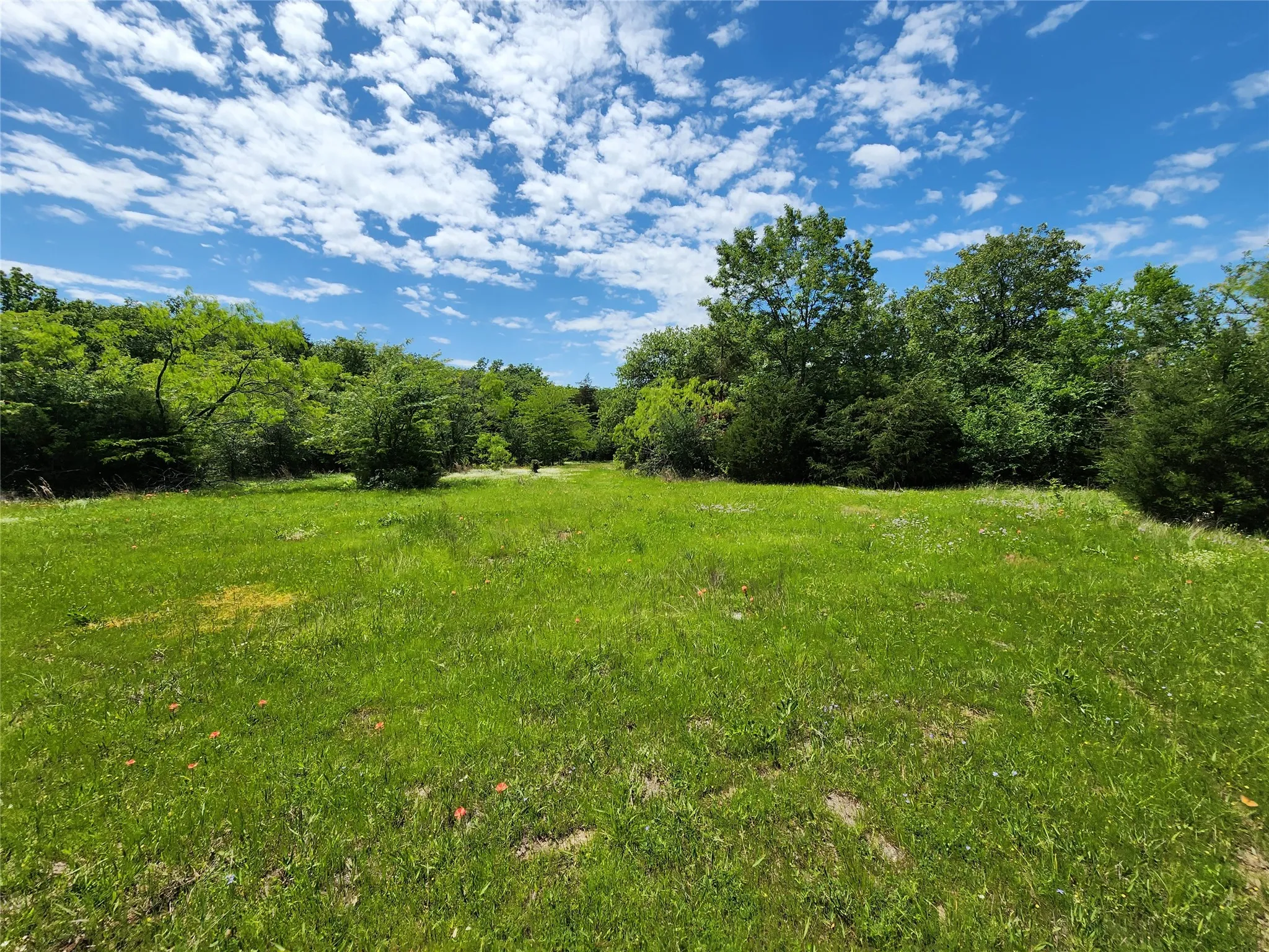 Unimproved Land For Sale in Hopkins County , 0000 W Interstate Hwy 30, Sulphur Springs, Texas 75482, 0, 0, Garage spaces, 0 Sqft, built in 0, mls#21392294, Real Estate Agent in Sulphur Springs, Homes For Sale in Hopkins county, Homes For Sale in Sulphur Springs, Realtor in Sulphur Springs Texas, Real Estate Brokerage Independent Realty Texas, Luminita Cordes Realtor