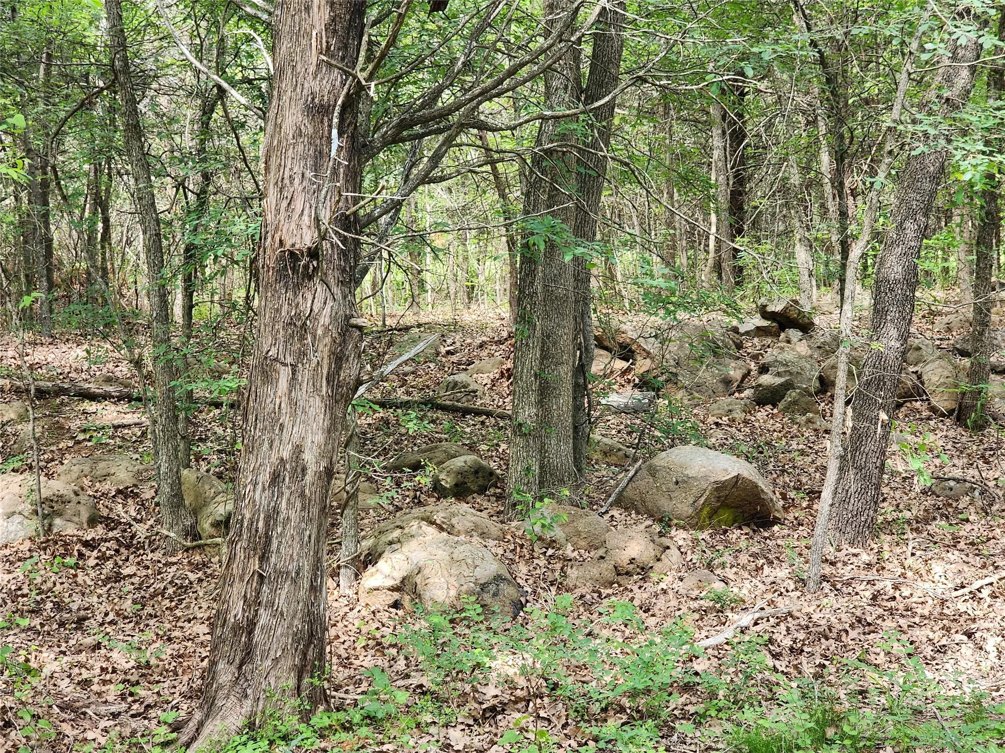Unimproved Land For Sale in Hopkins County , 0000 W Interstate Hwy 30, Sulphur Springs, Texas 75482, 0, 0, Garage spaces, 0 Sqft, built in 0, mls#21392294, Real Estate Agent in Sulphur Springs, Homes For Sale in Hopkins county, Homes For Sale in Sulphur Springs, Realtor in Sulphur Springs Texas, Real Estate Brokerage Independent Realty Texas, Luminita Cordes Realtor