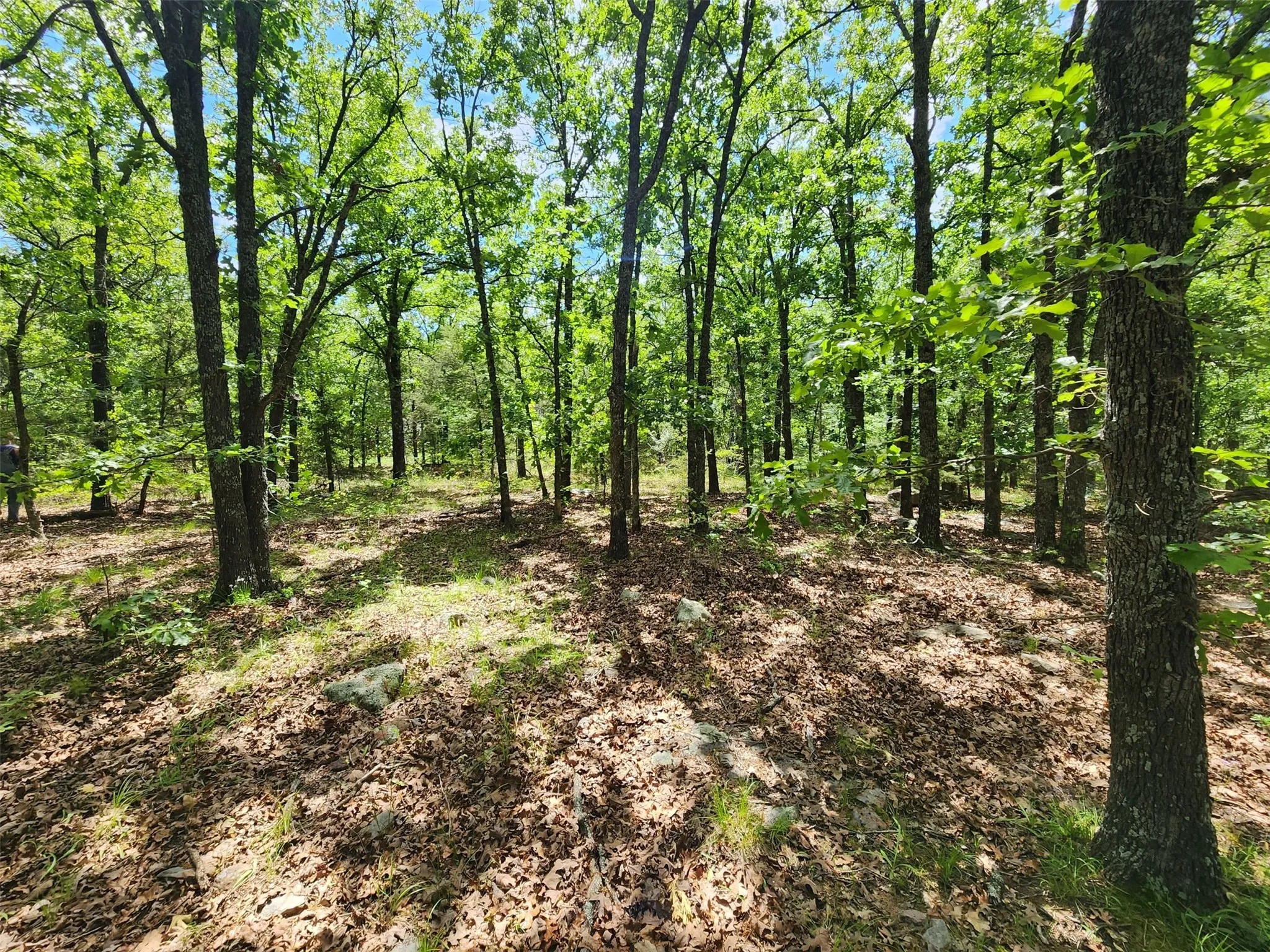 Unimproved Land For Sale in Hopkins County , 0000 W Interstate Hwy 30, Sulphur Springs, Texas 75482, 0, 0, Garage spaces, 0 Sqft, built in 0, mls#21392294, Real Estate Agent in Sulphur Springs, Homes For Sale in Hopkins county, Homes For Sale in Sulphur Springs, Realtor in Sulphur Springs Texas, Real Estate Brokerage Independent Realty Texas, Luminita Cordes Realtor