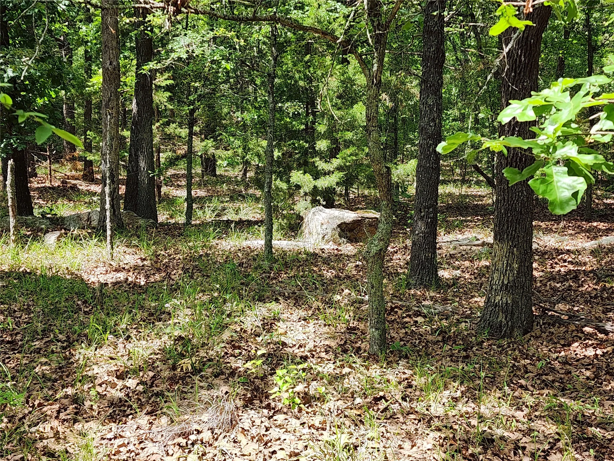 Unimproved Land For Sale in Hopkins County , 0000 W Interstate Hwy 30, Sulphur Springs, Texas 75482, 0, 0, Garage spaces, 0 Sqft, built in 0, mls#21392294, Real Estate Agent in Sulphur Springs, Homes For Sale in Hopkins county, Homes For Sale in Sulphur Springs, Realtor in Sulphur Springs Texas, Real Estate Brokerage Independent Realty Texas, Luminita Cordes Realtor
