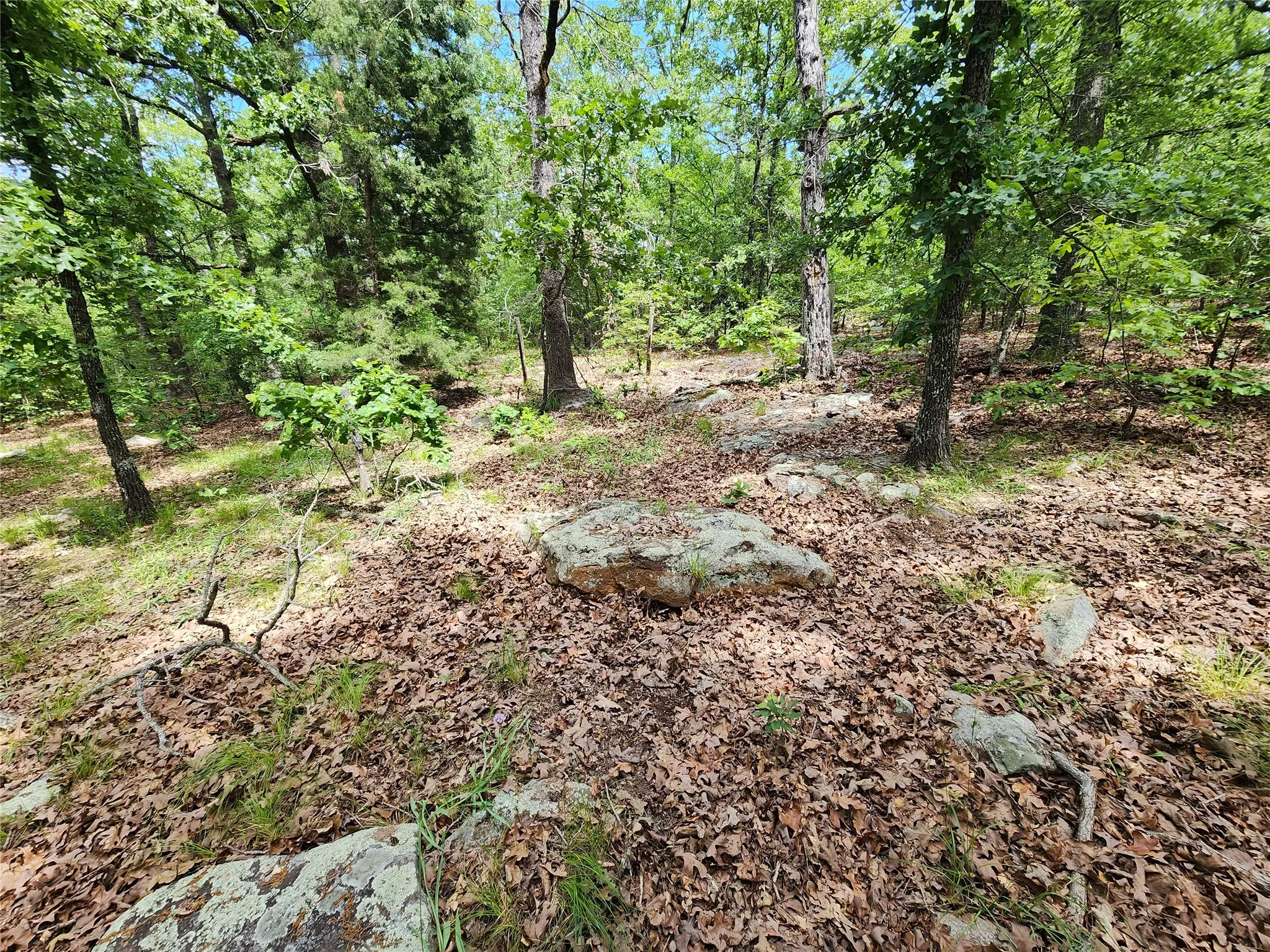Unimproved Land For Sale in Hopkins County , 0000 W Interstate Hwy 30, Sulphur Springs, Texas 75482, 0, 0, Garage spaces, 0 Sqft, built in 0, mls#21392294, Real Estate Agent in Sulphur Springs, Homes For Sale in Hopkins county, Homes For Sale in Sulphur Springs, Realtor in Sulphur Springs Texas, Real Estate Brokerage Independent Realty Texas, Luminita Cordes Realtor