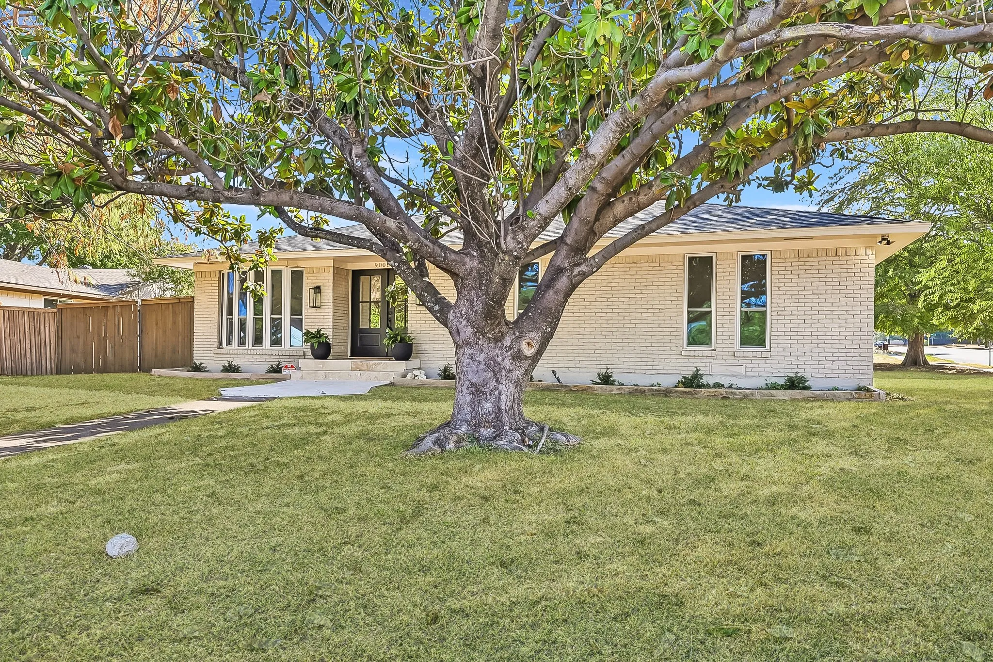 Expansive front yard with mature tree, light-colored brick exterior, multi-pane windows, and a dark-toned entry door