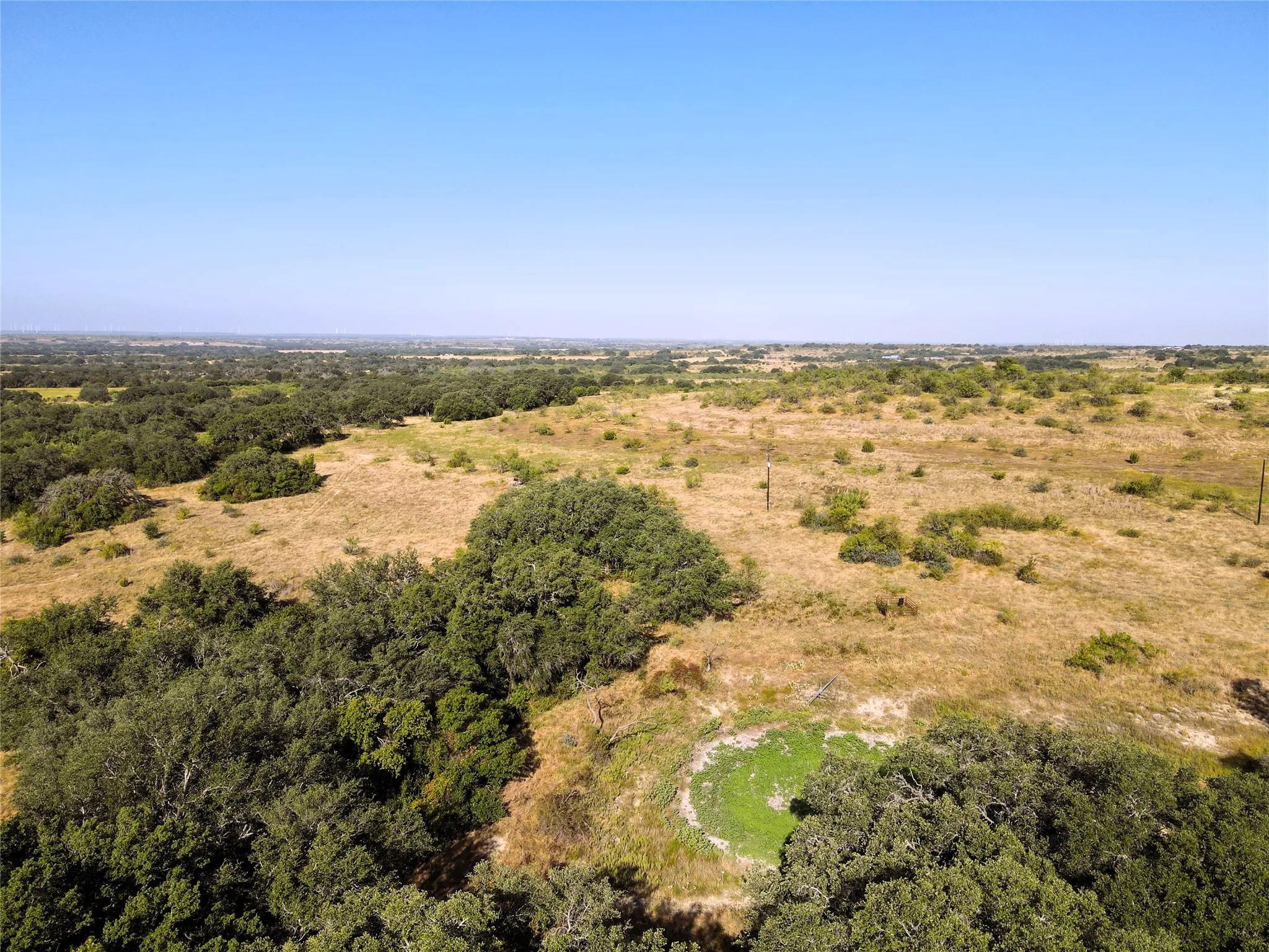 Expansive acreage featuring natural foliage, open fields, and mature trees