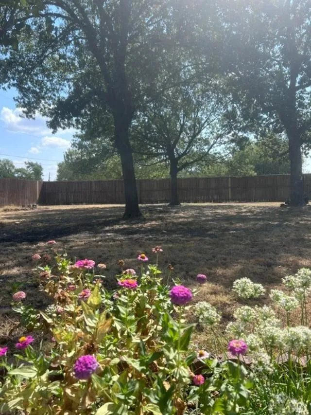 Single Family Residence For Sale in Grayson County , 1353 Beasley Boulevard, Whitewright, Texas 75491, 4 Bedroom, 3 Bathroom, 2 Garage spaces, 2,703 Sqft, built in 1970, mls#21390484, Real Estate Agent in Whitewright, Homes For Sale in Grayson county, Homes For Sale in Whitewright, Realtor in Whitewright Texas, Real Estate Brokerage Independent Realty Texas, Luminita Cordes Realtor